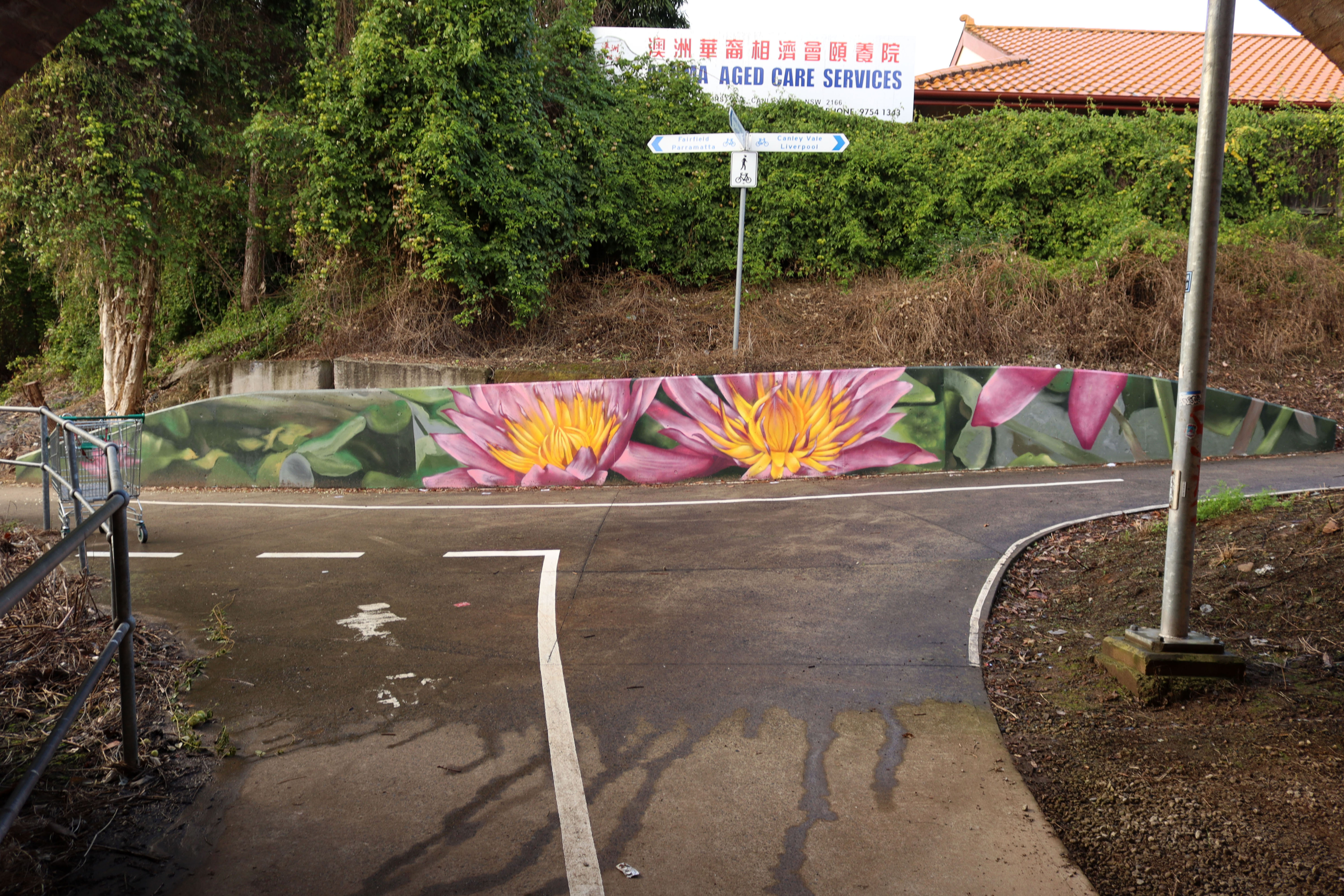 Orphan School Creek Shared Path Mural