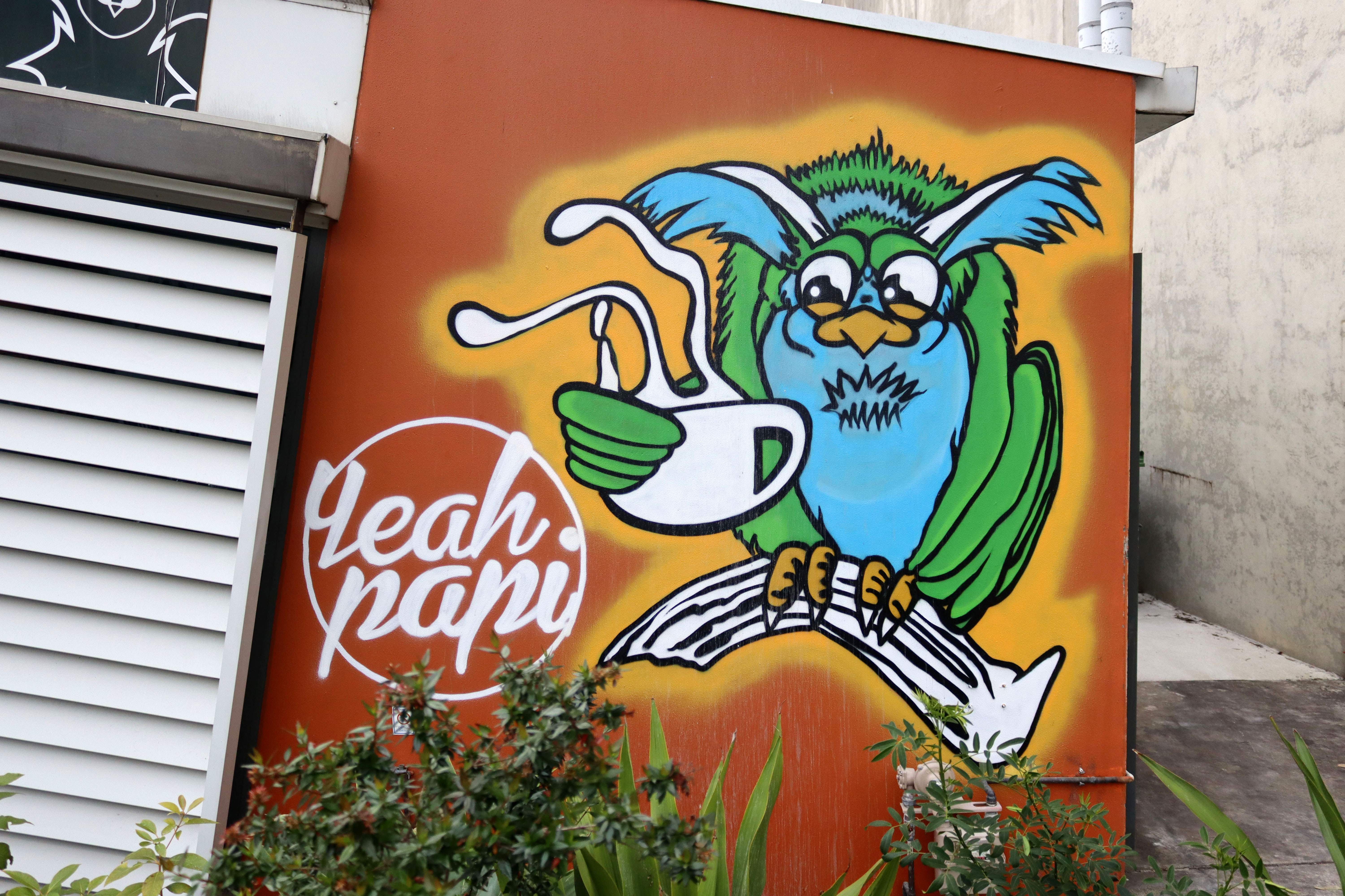 Morning Owl by Sekt Compton | Street Art NSW