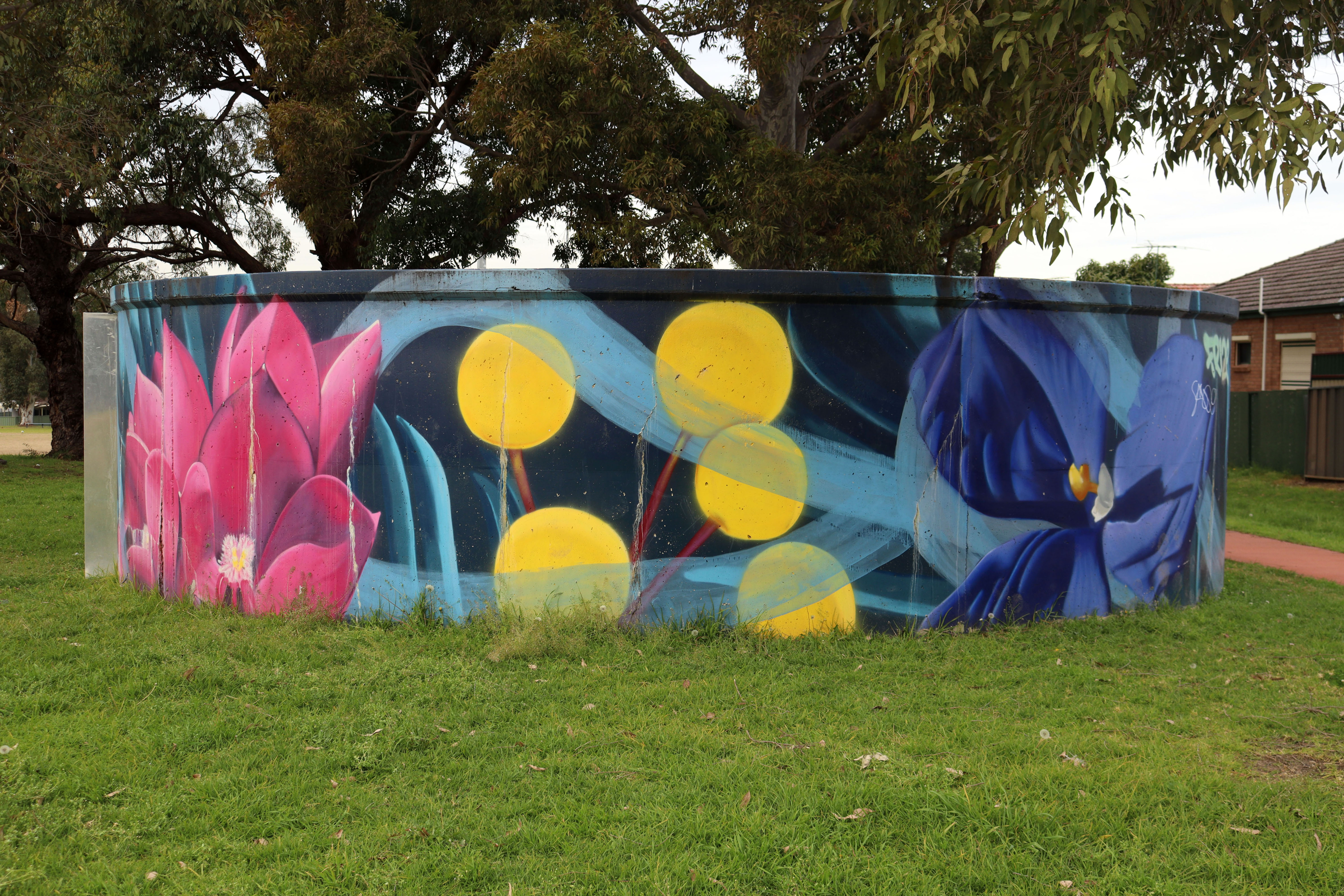 Allum Park Water Tank