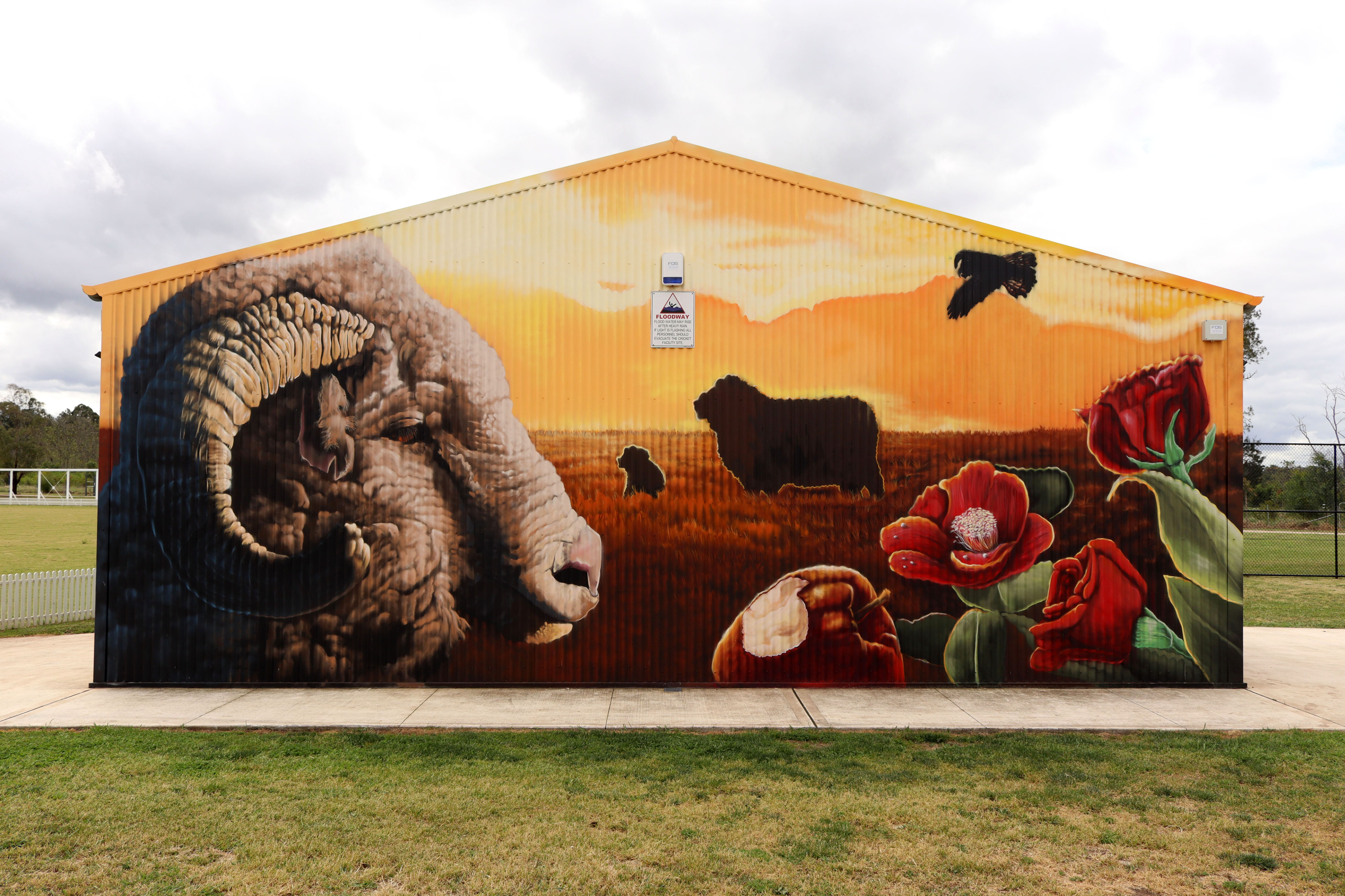 Golden Graze by Sekt Compton | Street Art NSW