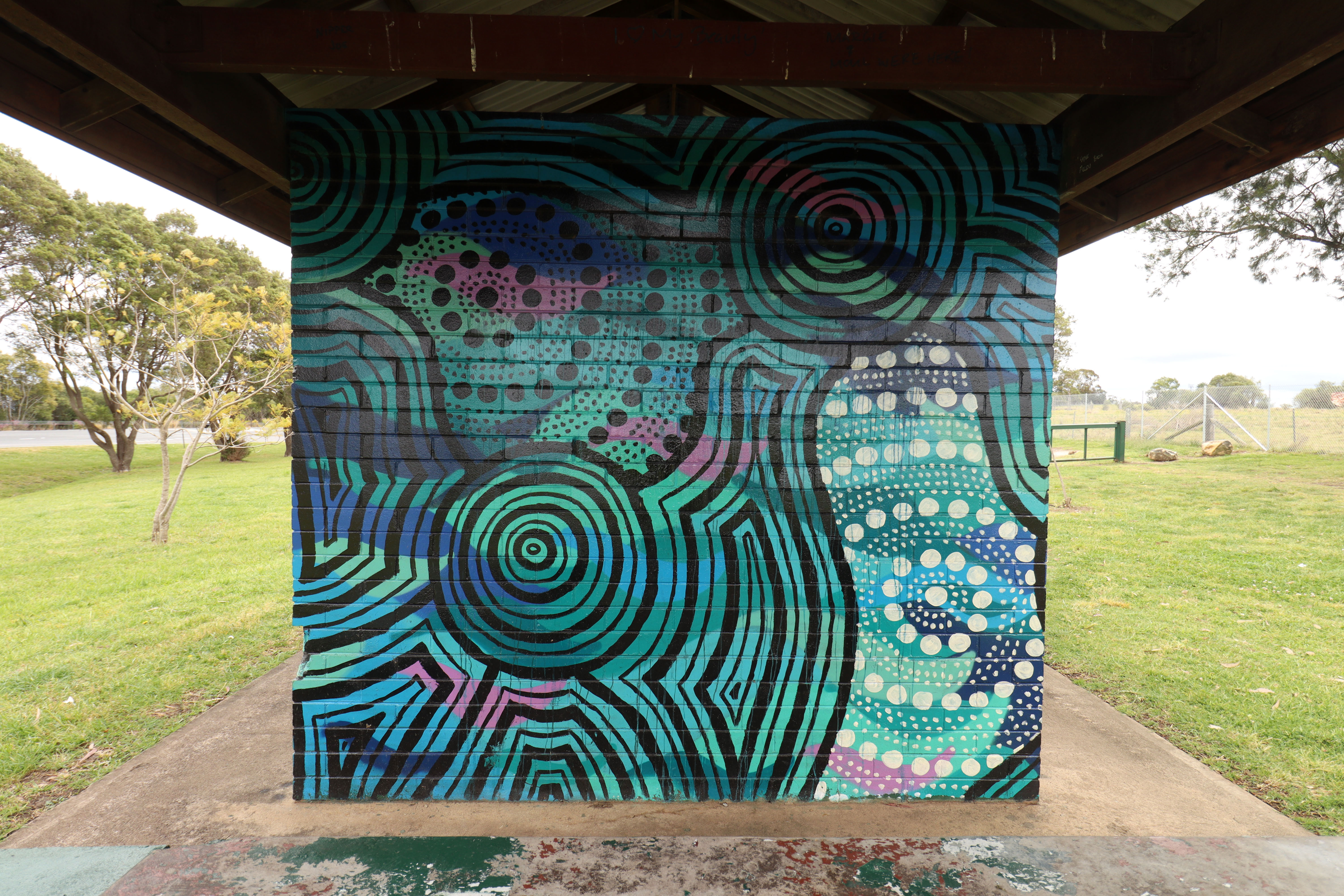 Razorback Lookout by Saltwater Dreamtime | Street Art NSW