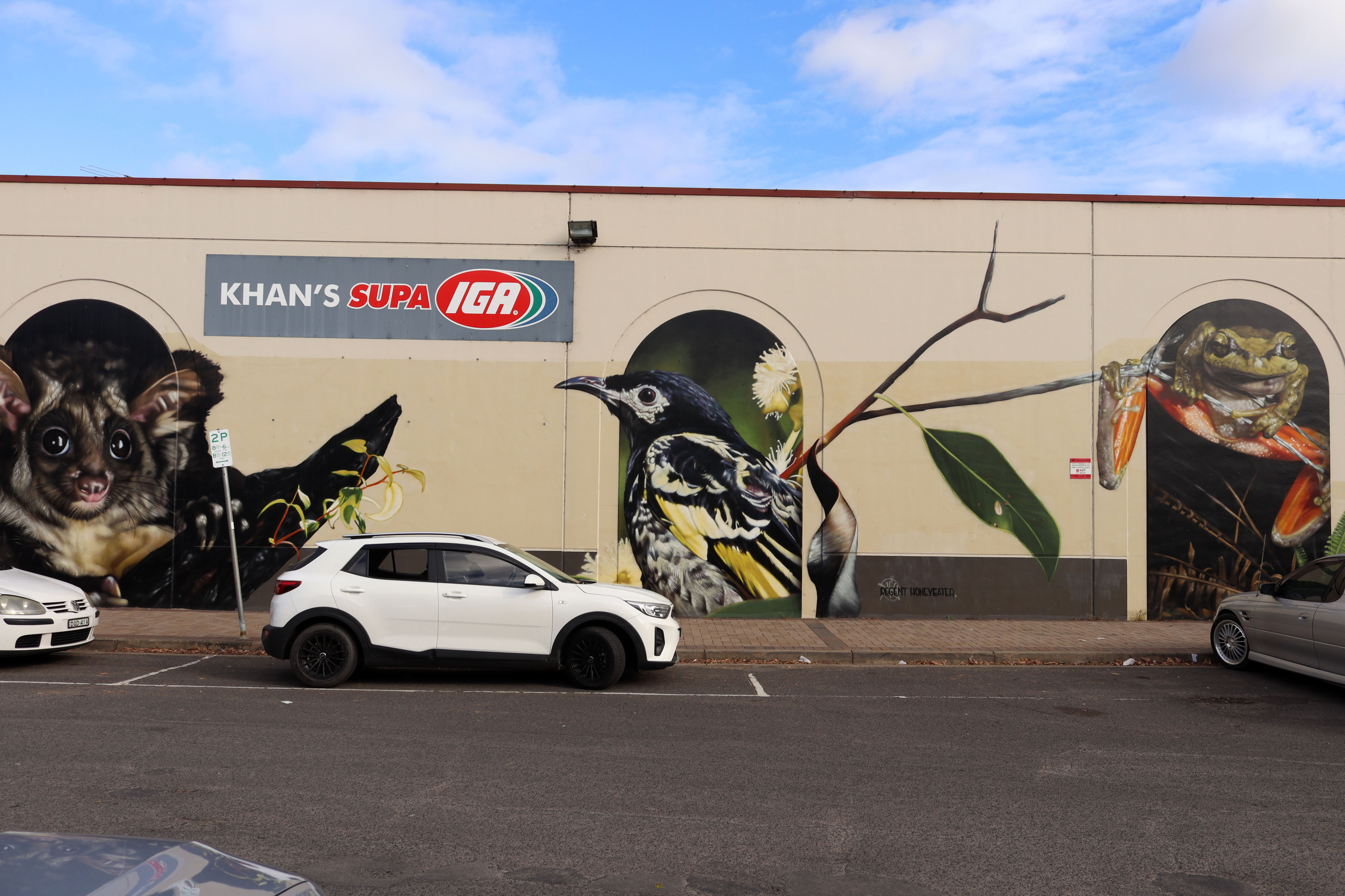 Greater Glider, Regent Honeyeater and Littlejohn's Tree Frog