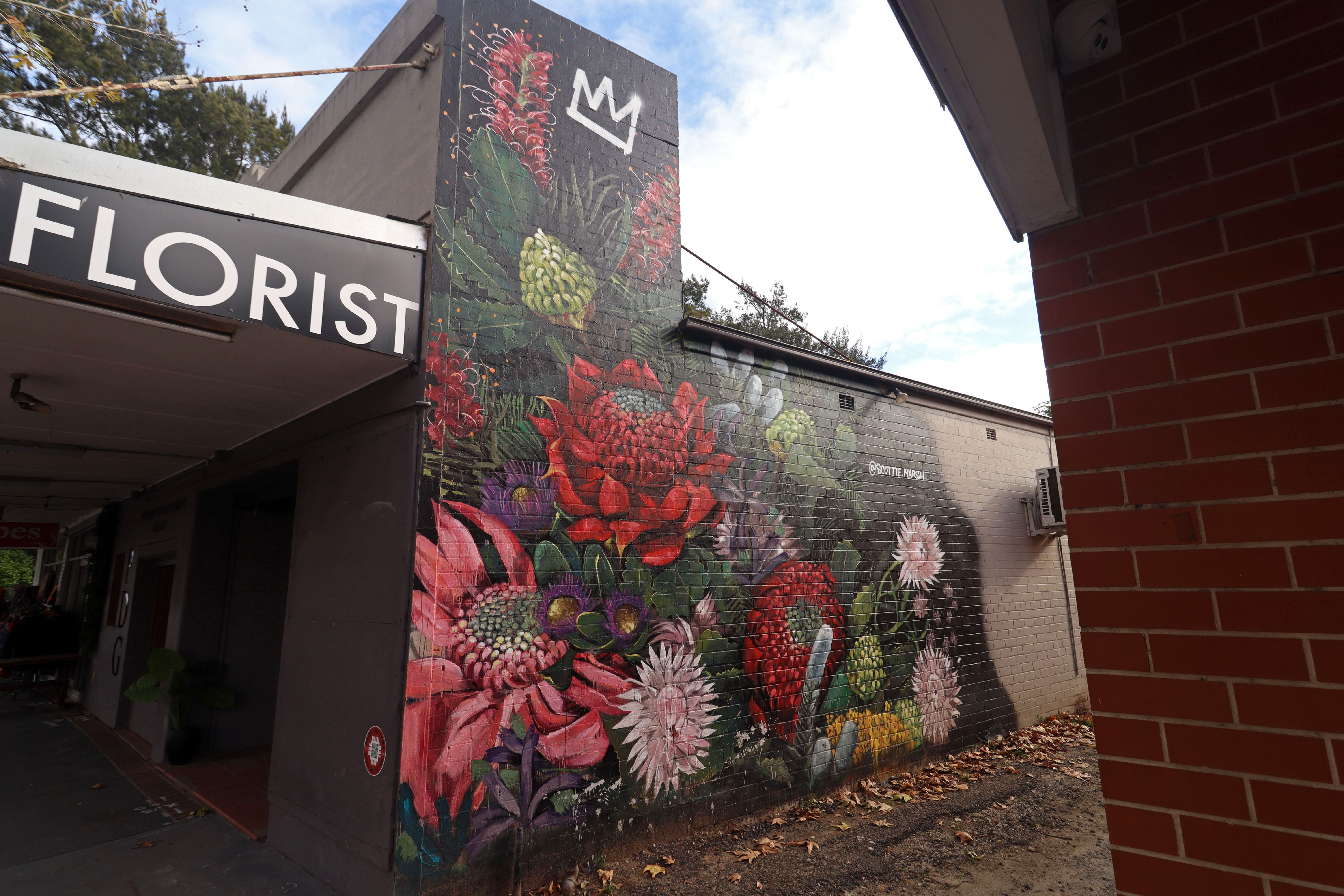 Native Florals by Scott Marsh | Street Art NSW