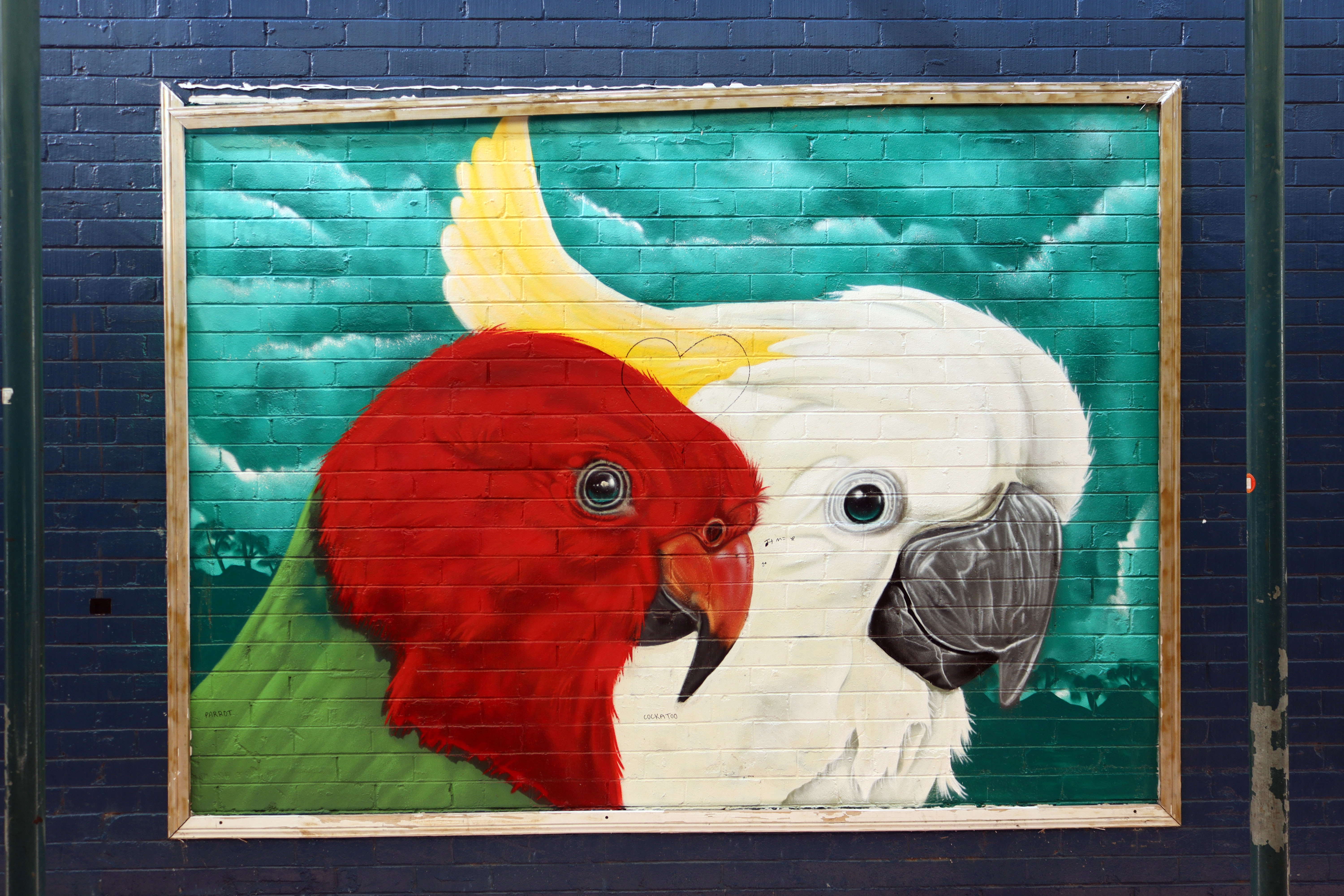 Untitled by Sekt Compton | Street Art NSW