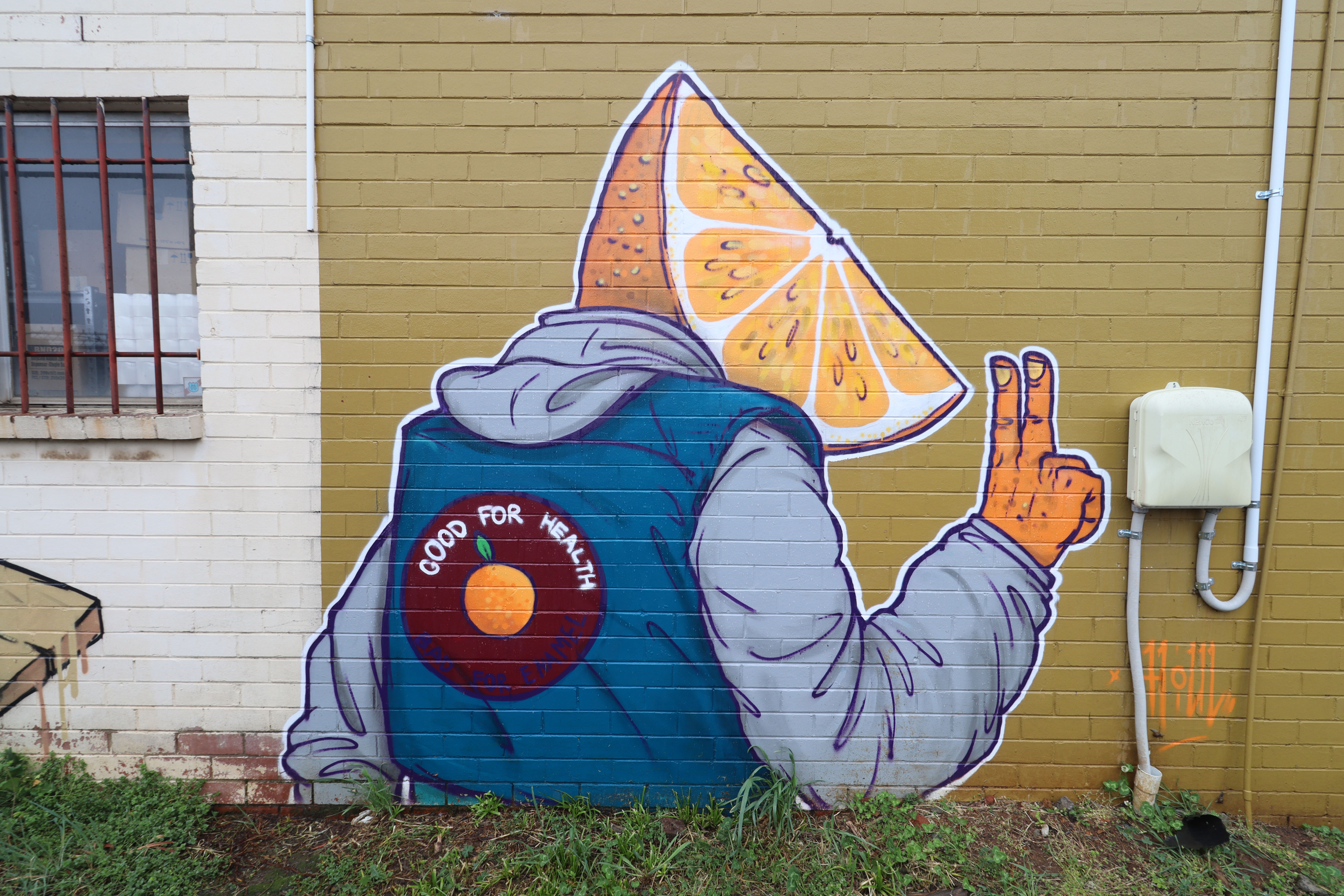 Valenciaaaa by Houl | Street Art NSW