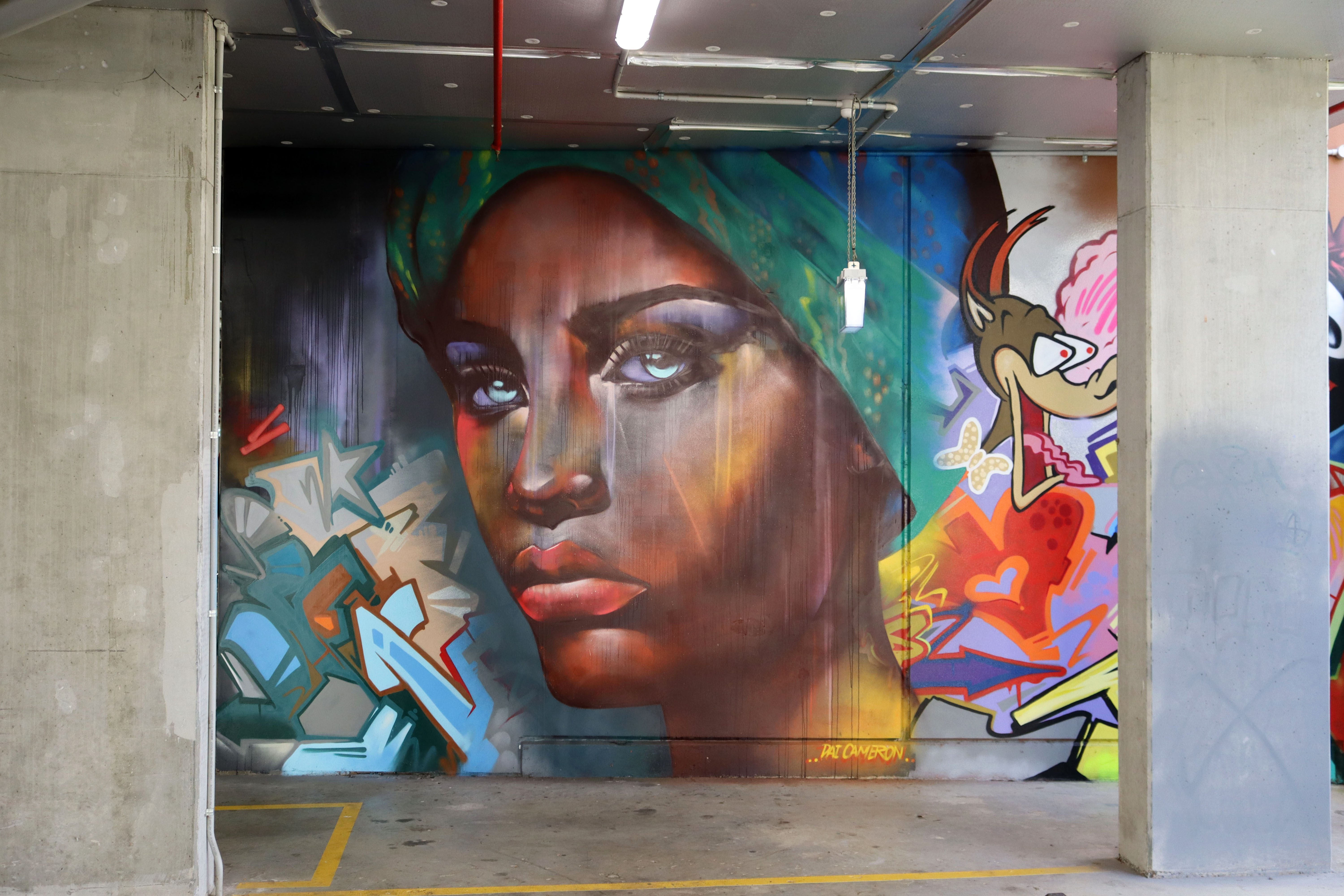Untitled by Dai Cameron | Street Art NSW