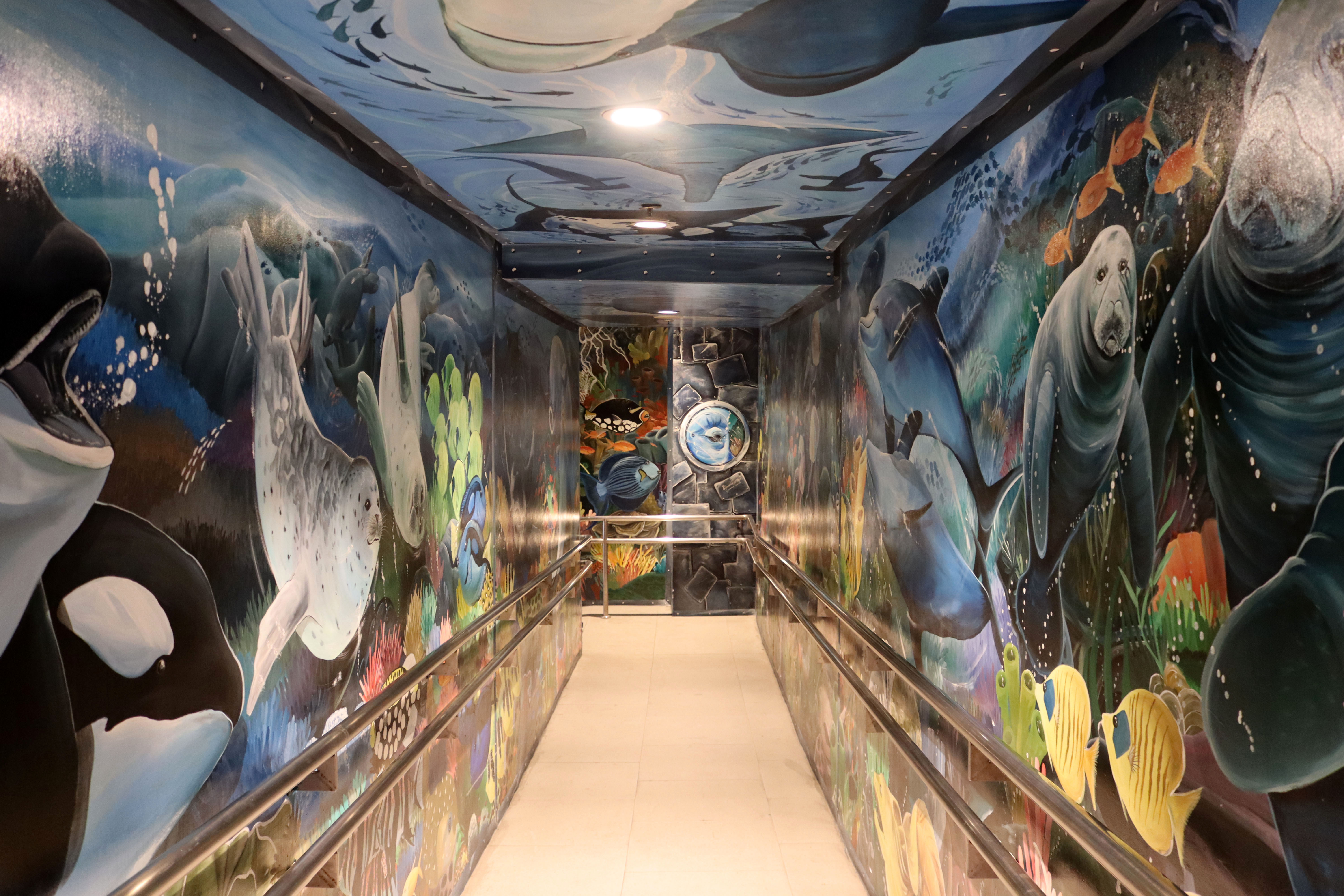 Artquarium by Jon Renacia | Street Art NSW