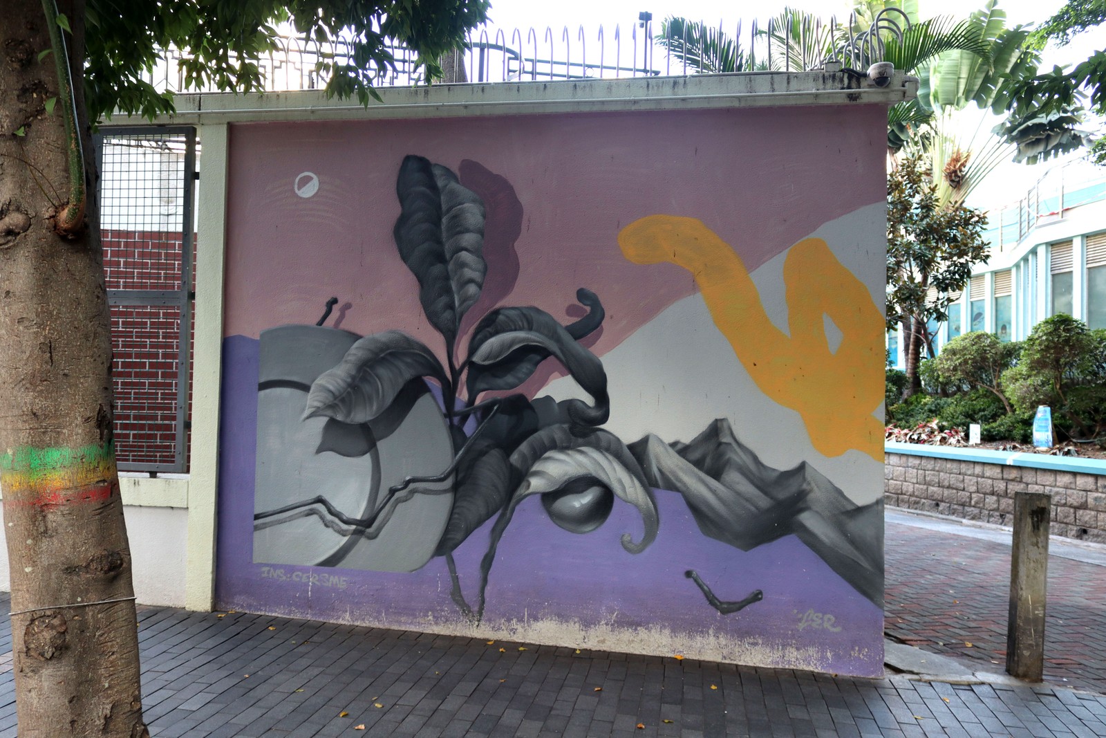 Untitled by CER | Street Art NSW