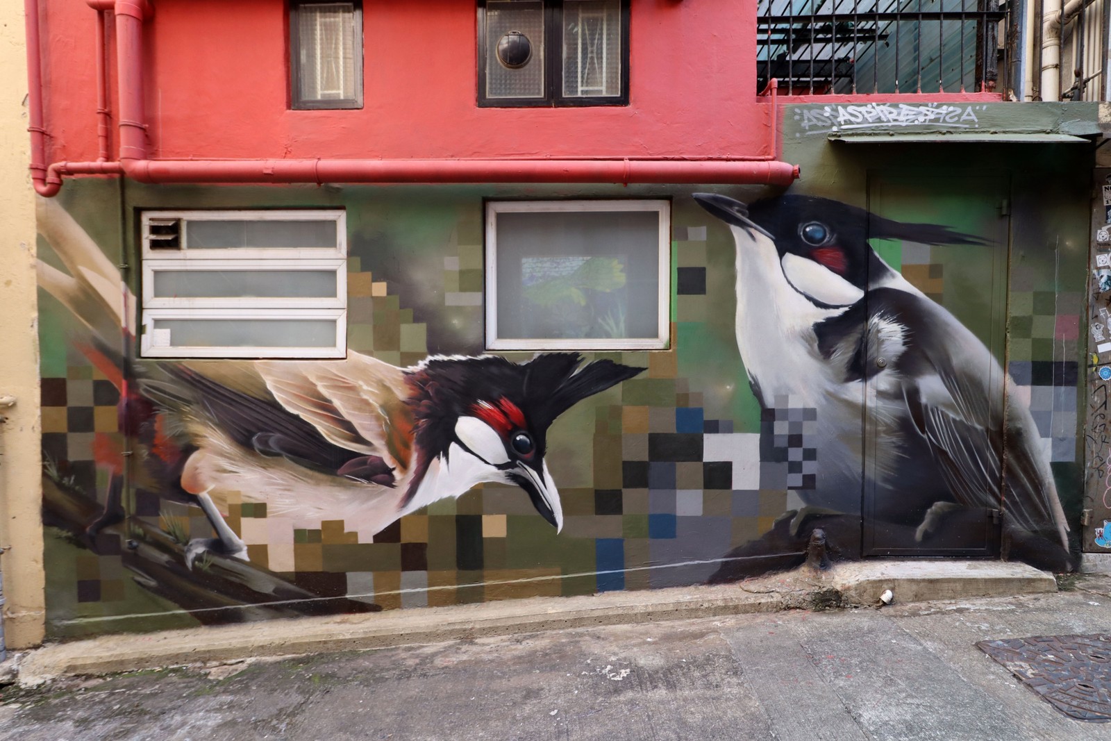 The Red-Whiskered Bulbul (Pycnonotus jocosus) by Aspire | Street Art NSW