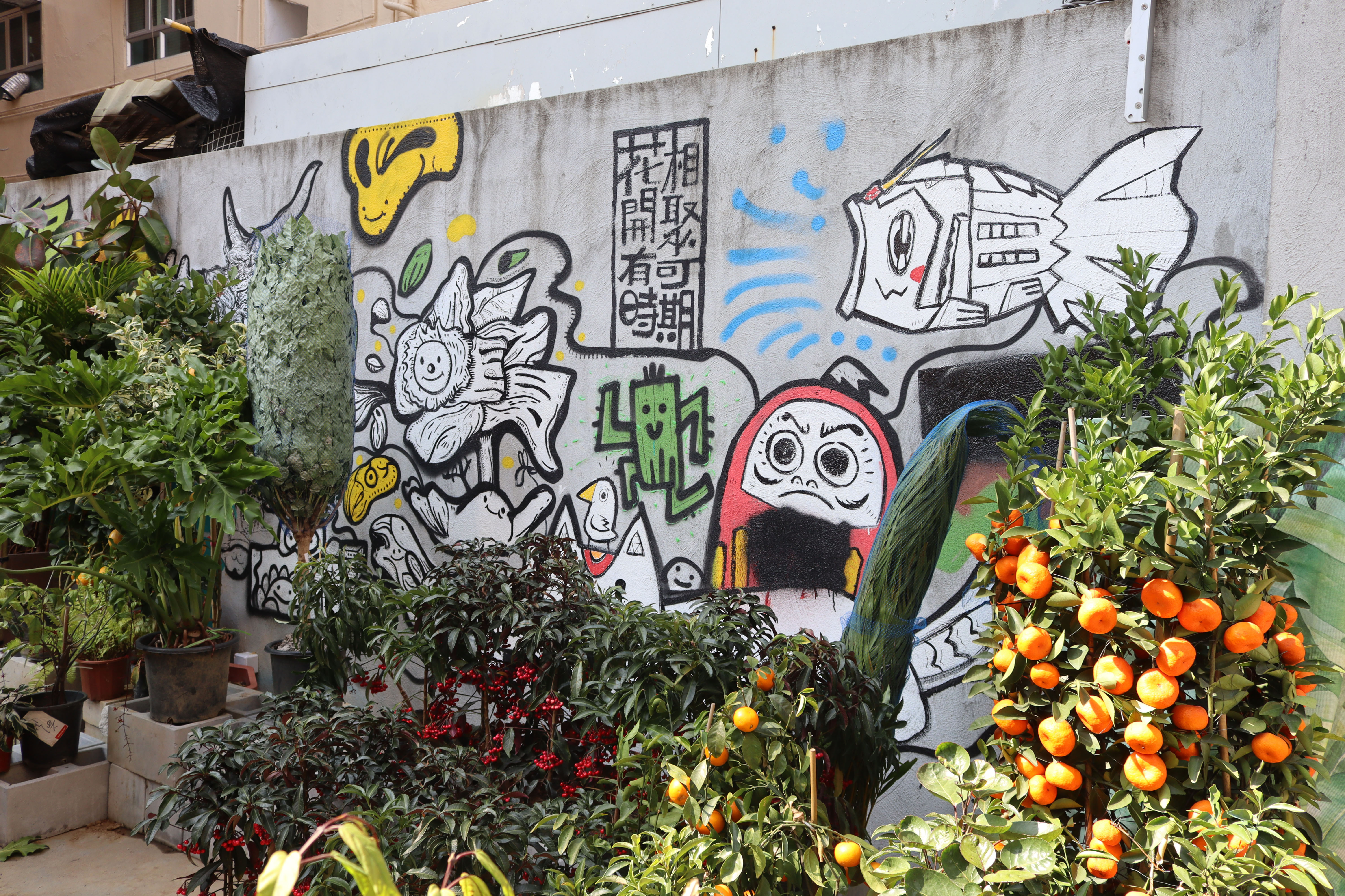 Untitled | Street Art NSW