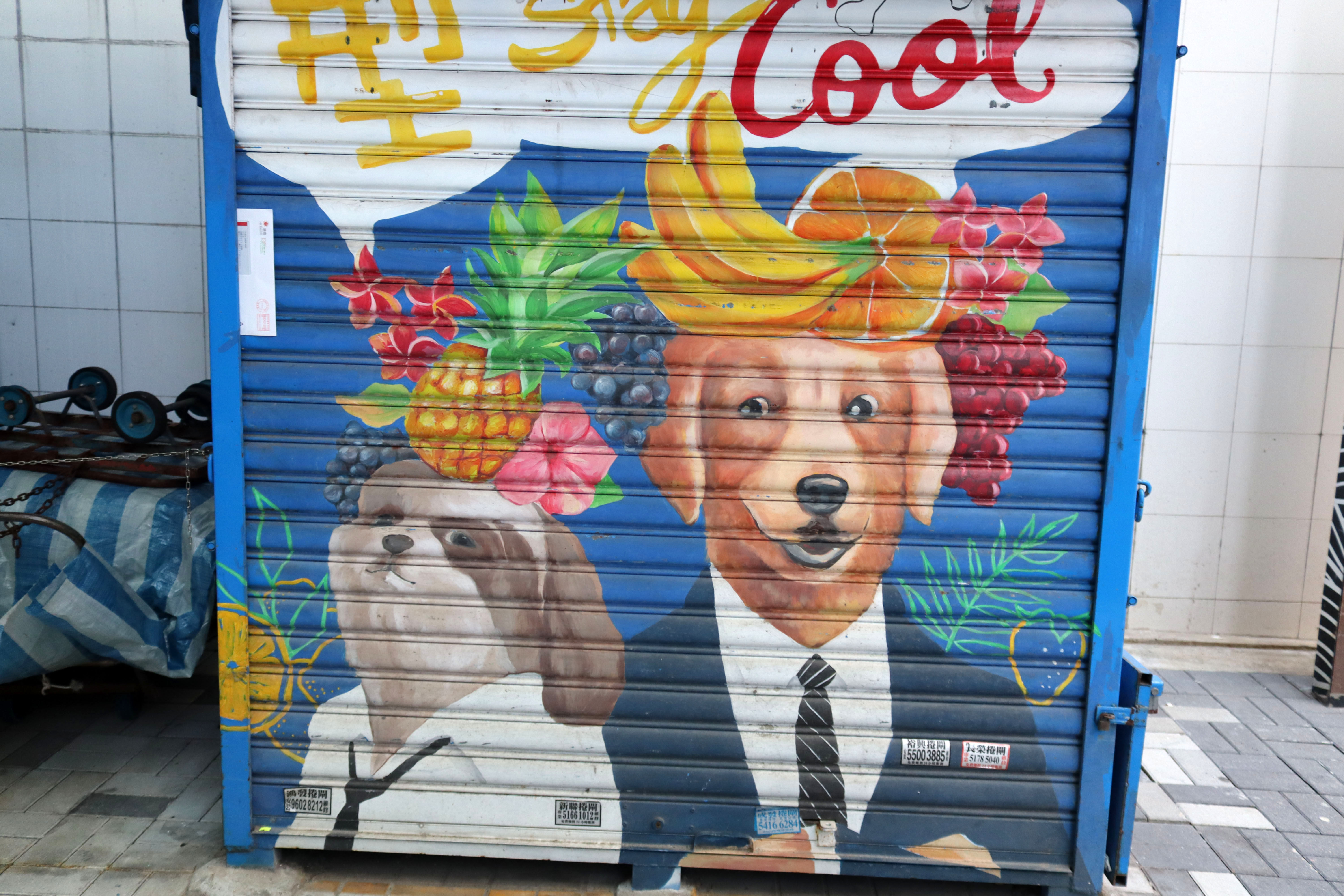 Untitled | Street Art NSW