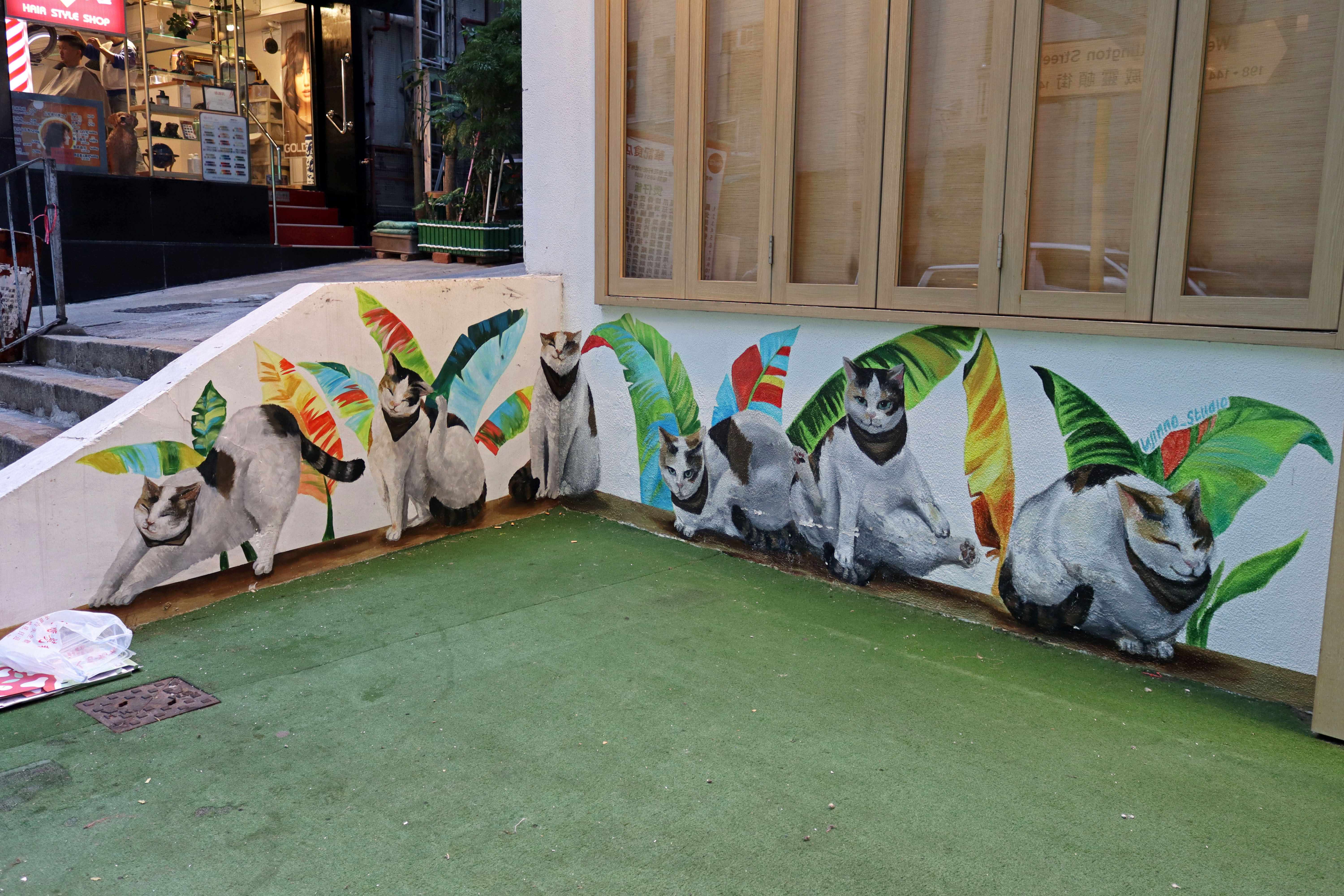 Untitled | Street Art NSW