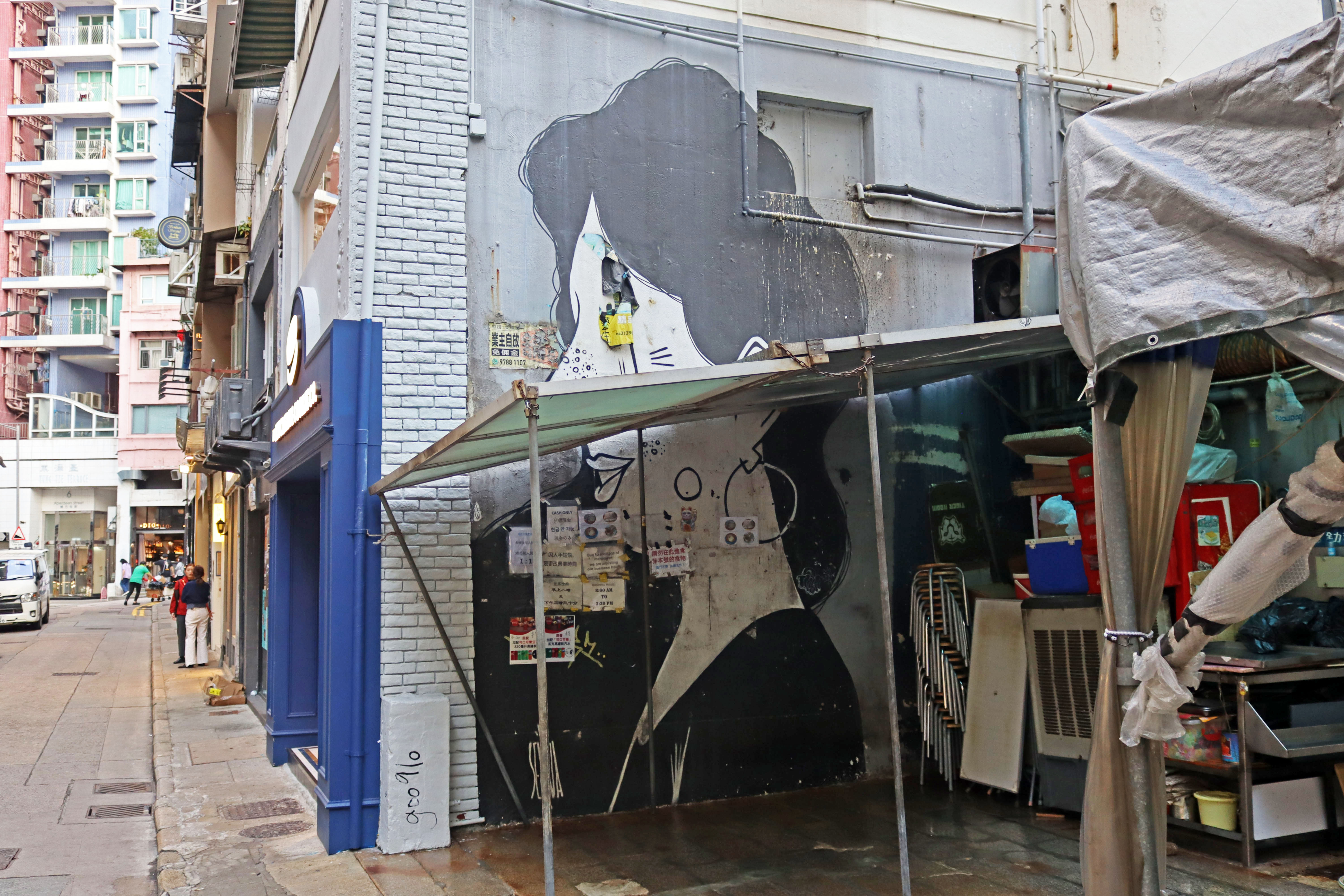 Untitled by Alex Senna | Street Art NSW