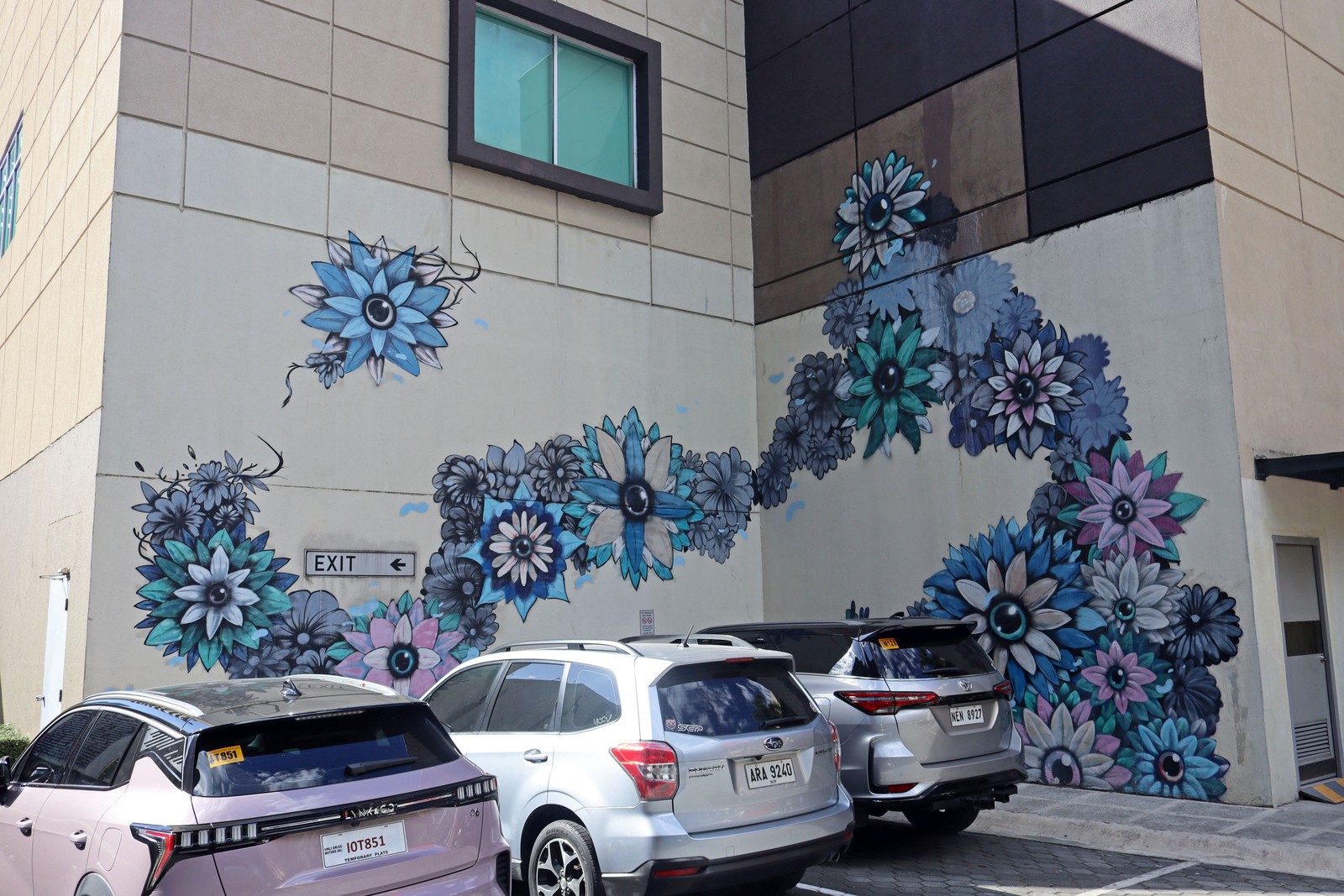 Wallflowers by Trip63 | Street Art NSW