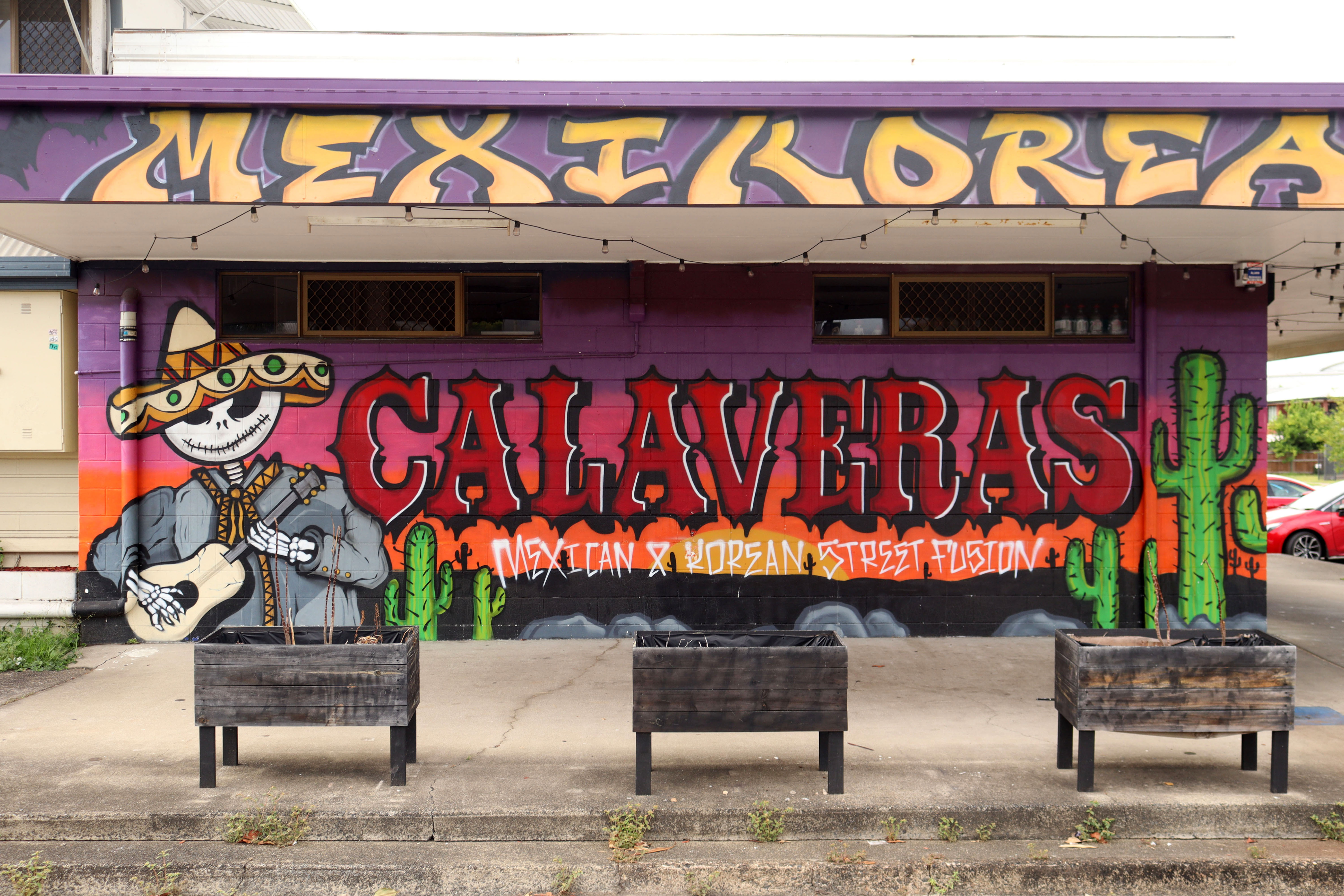 Calaveras Street | Street Art NSW