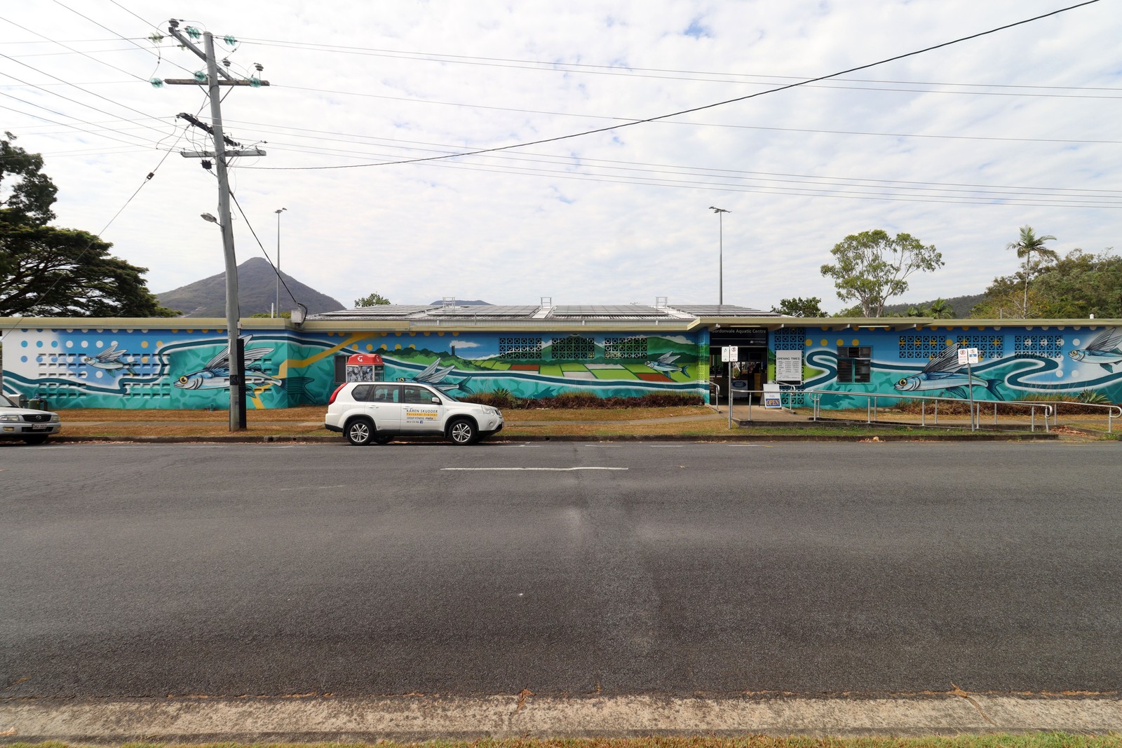 Gordonvale Aquatic Centre Mural by Daniel Wallwork | Street Art NSW