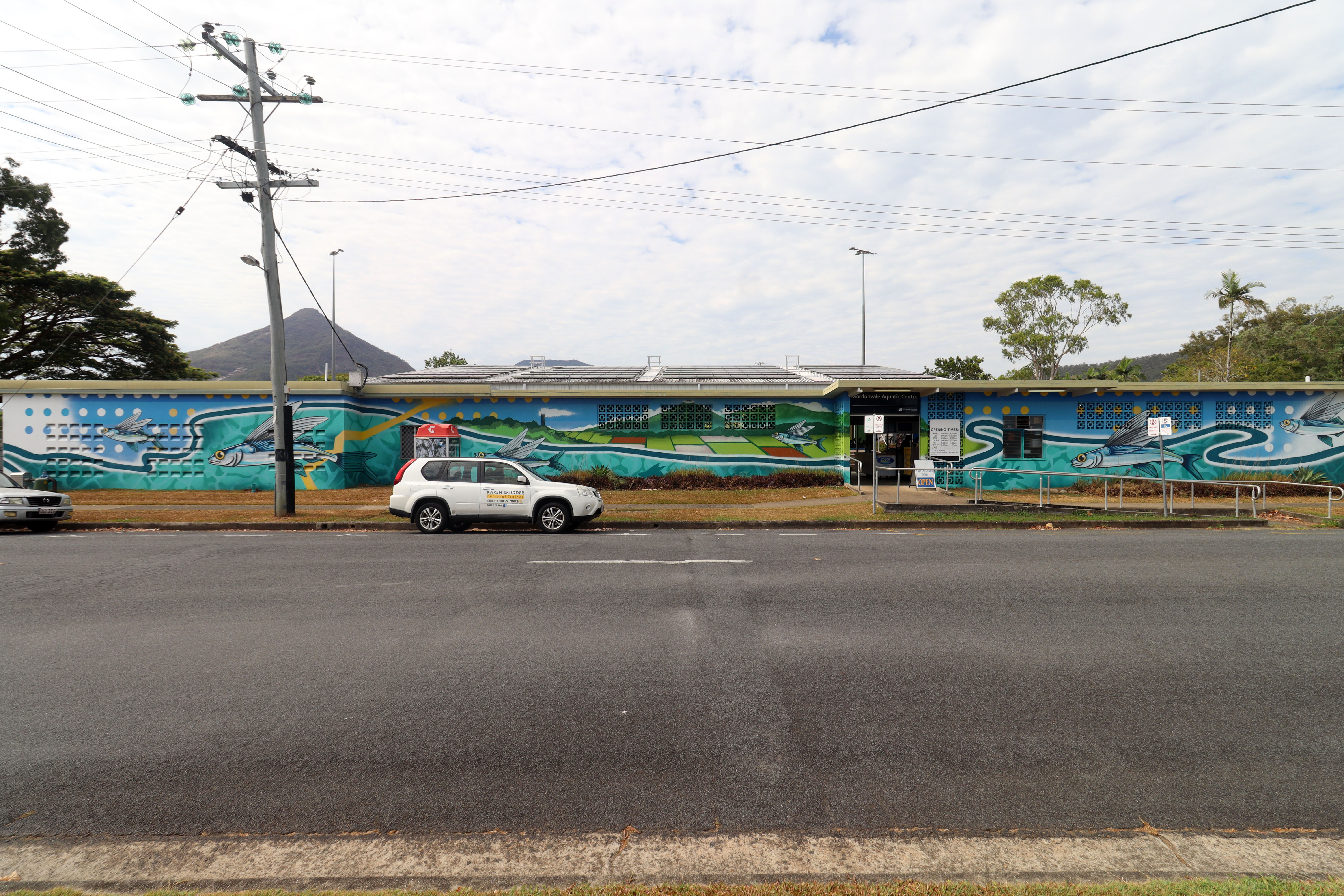 Gordonvale Aquatic Centre Mural