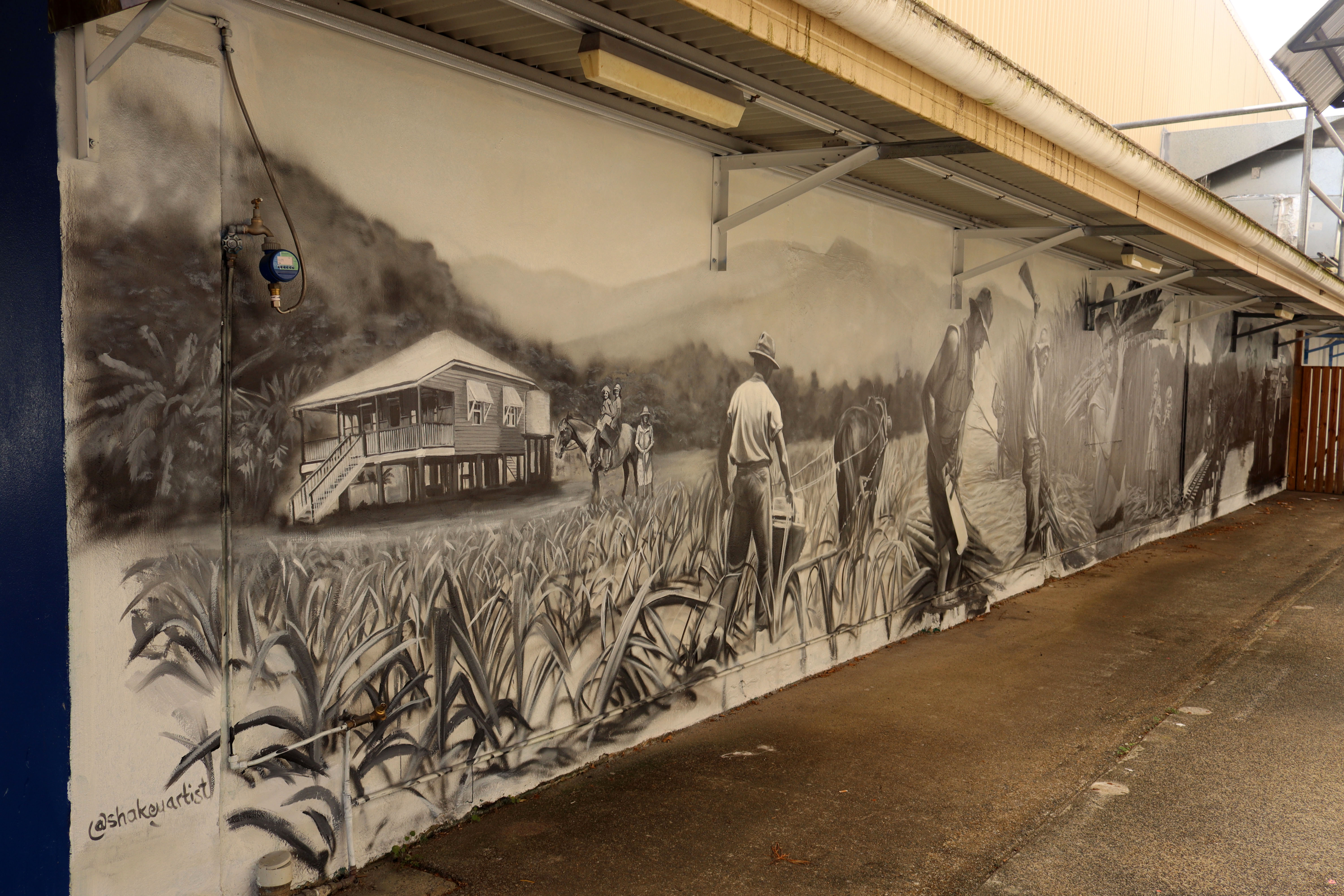 Tribute to the Sugarcane Farmers of Babinda