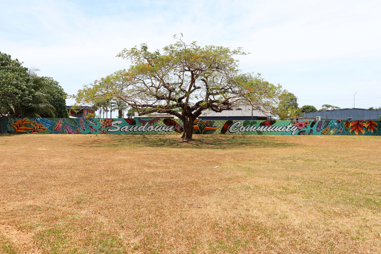 Sandown Community | Street Art NSW