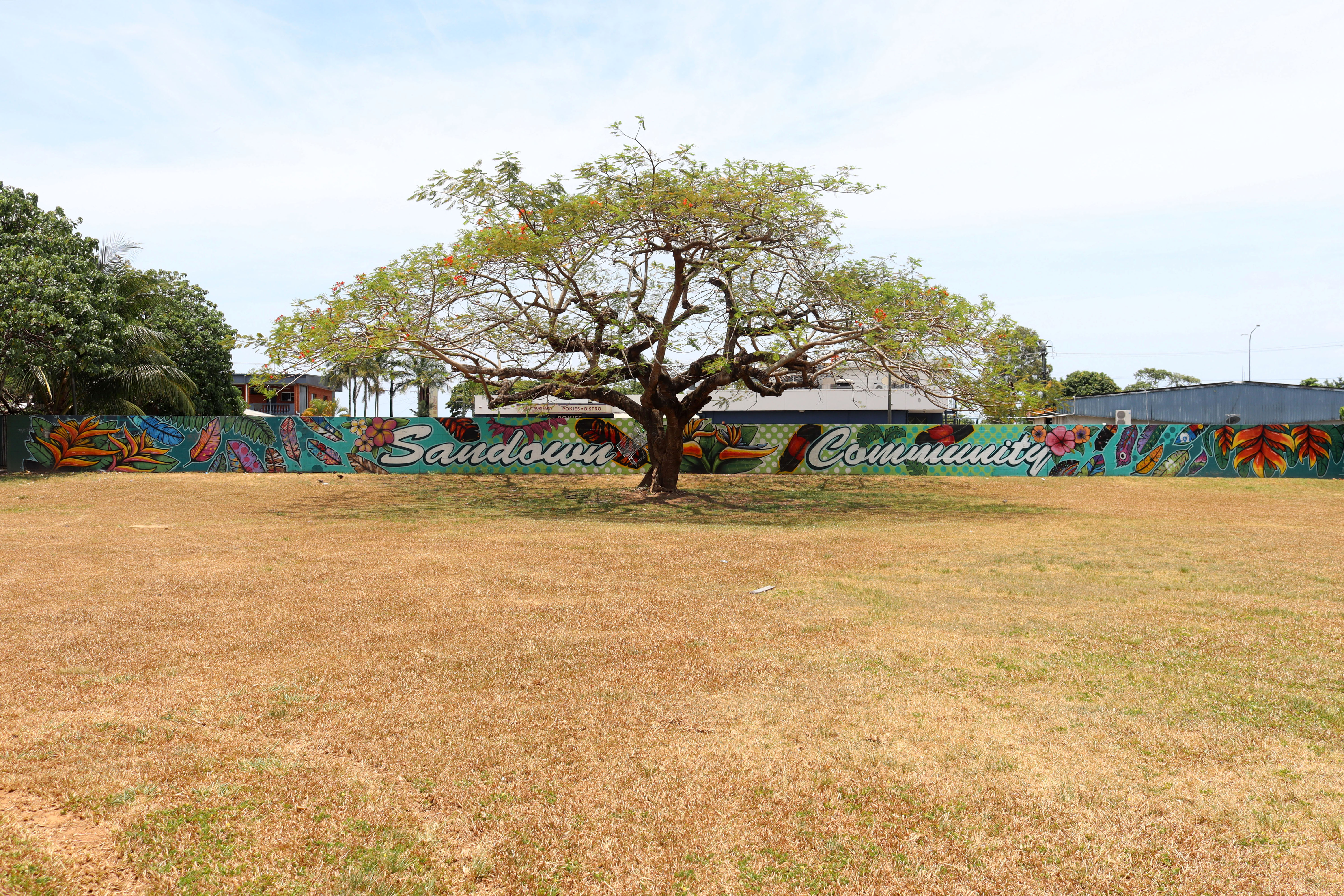 Sandown Community | Street Art NSW