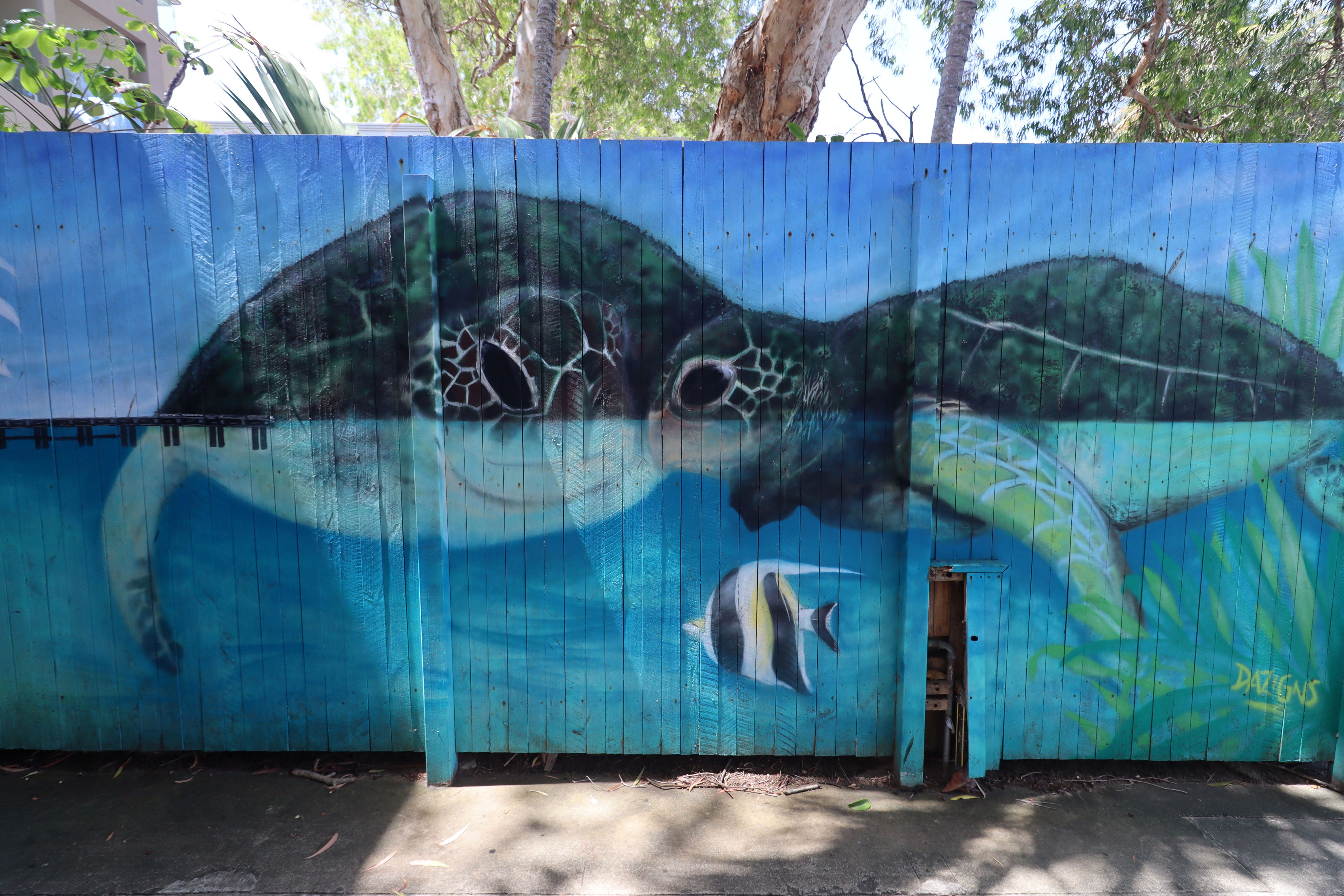 Double Island by Dazigns | Street Art NSW