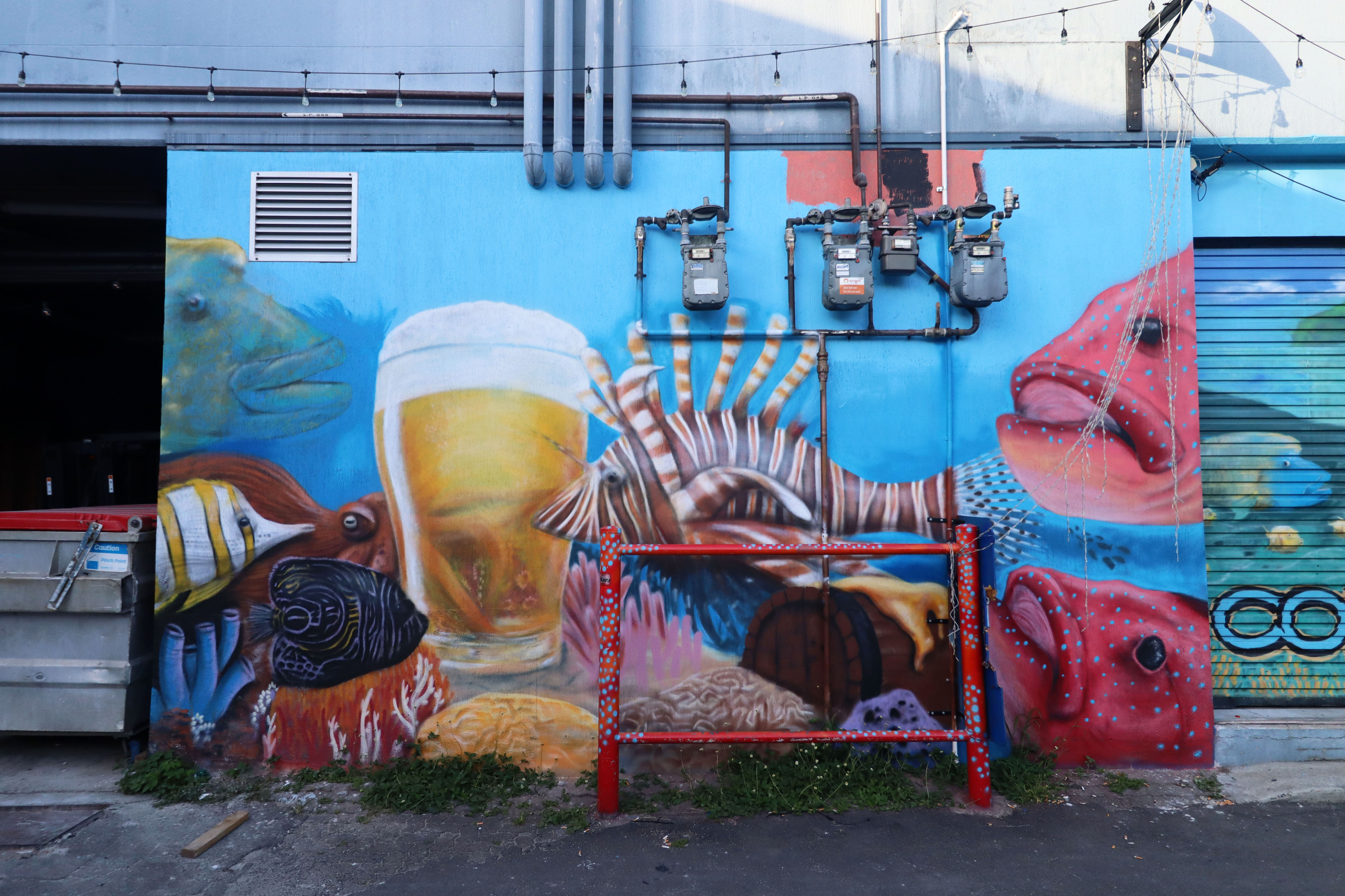 Coral Sea Brewing Co by Dazigns | Street Art NSW