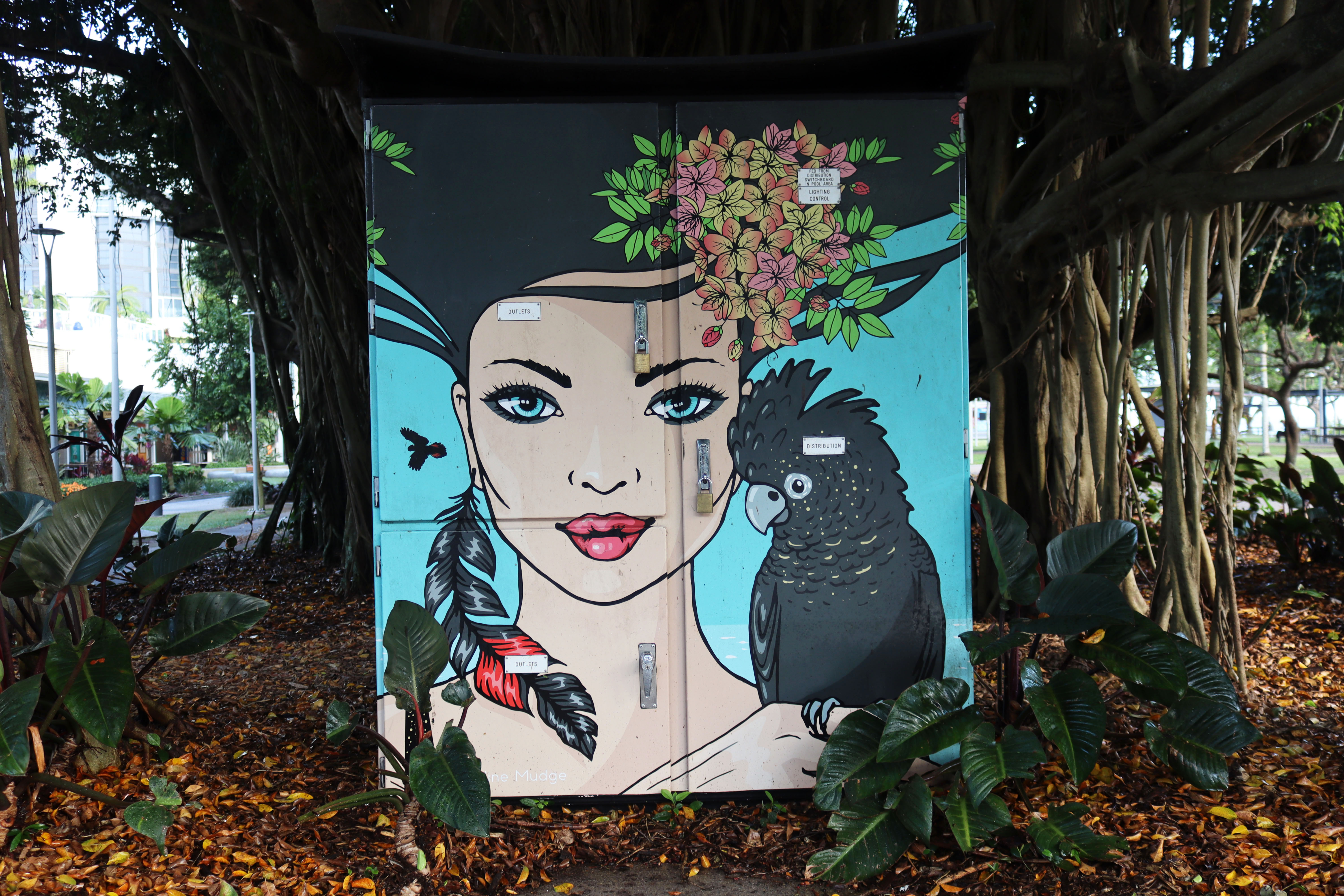 Untitled by Caroline Mudge | Street Art NSW
