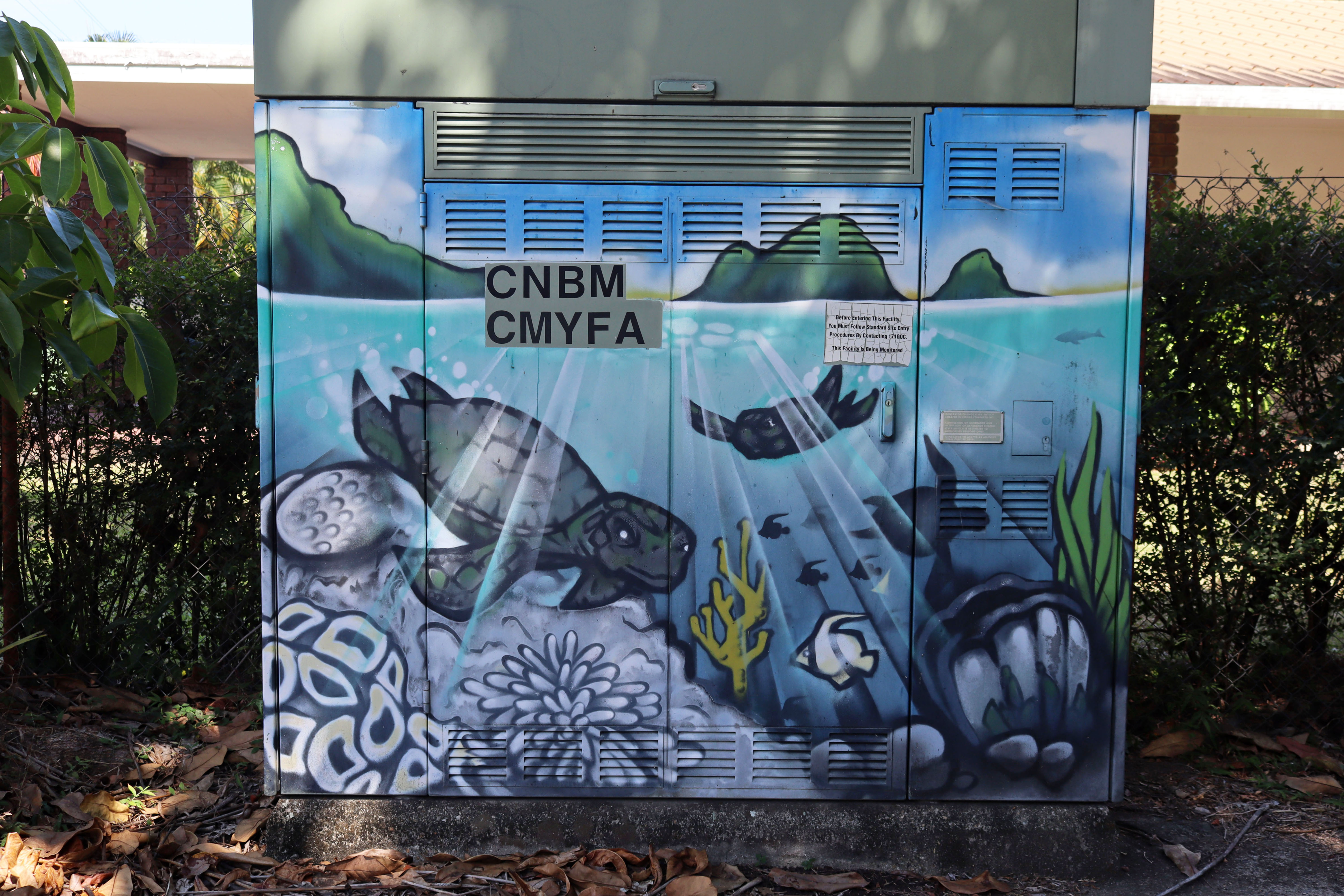 Untitled | Street Art NSW