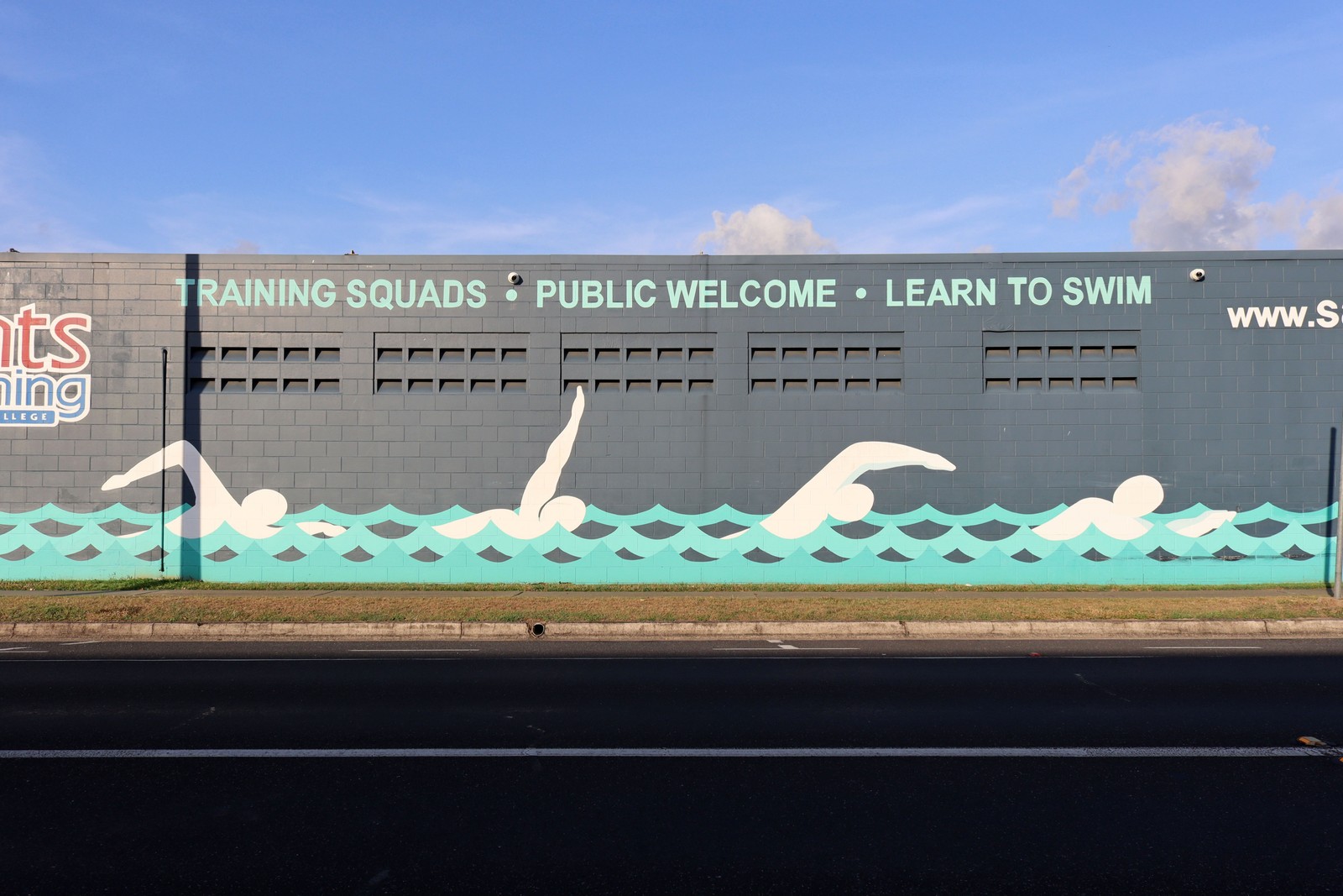 Saints Swimming | Street Art NSW