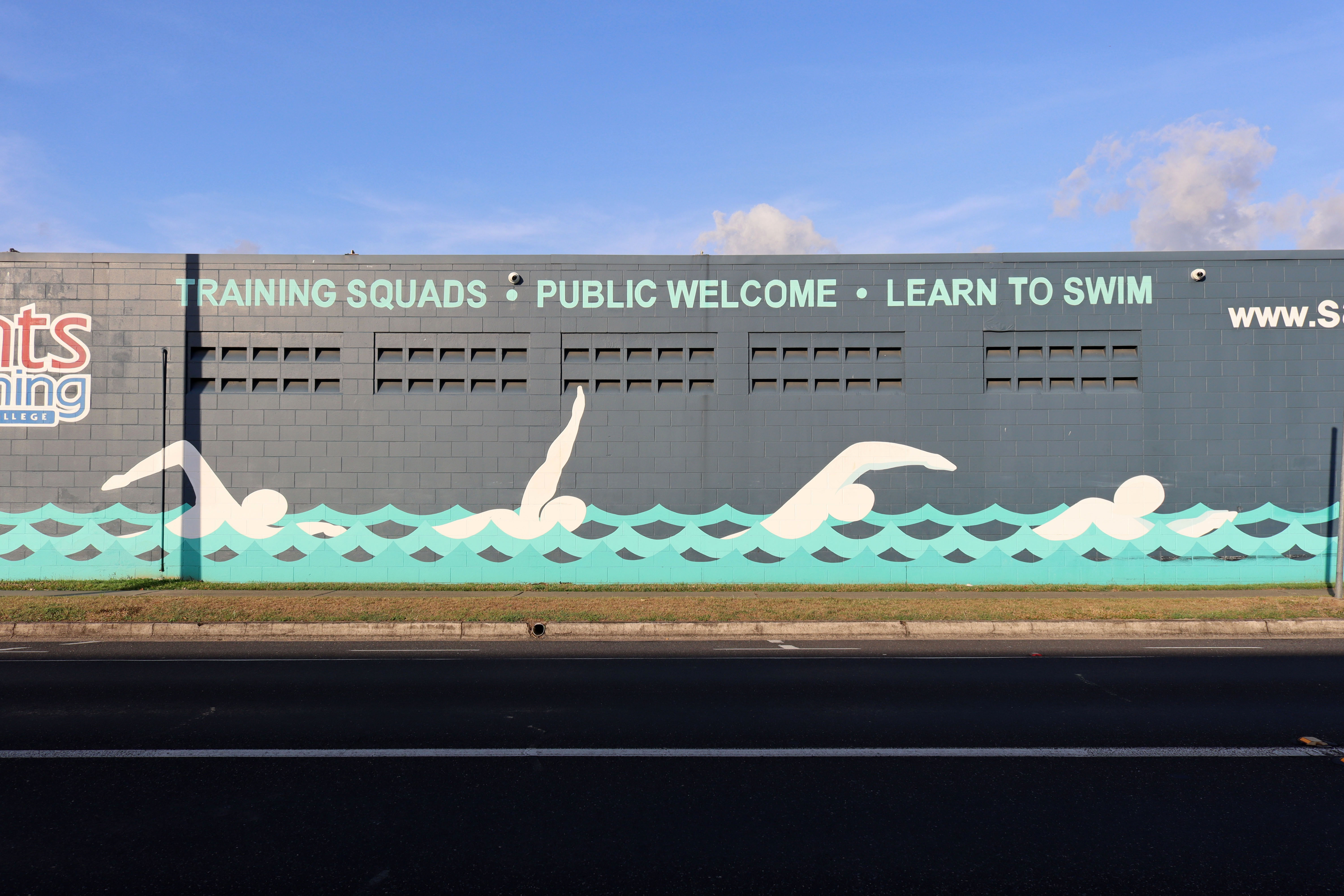 Saints Swimming | Street Art NSW