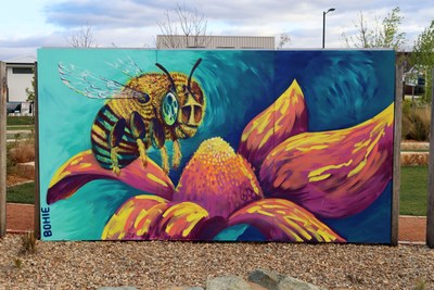 Blue Banded Bee