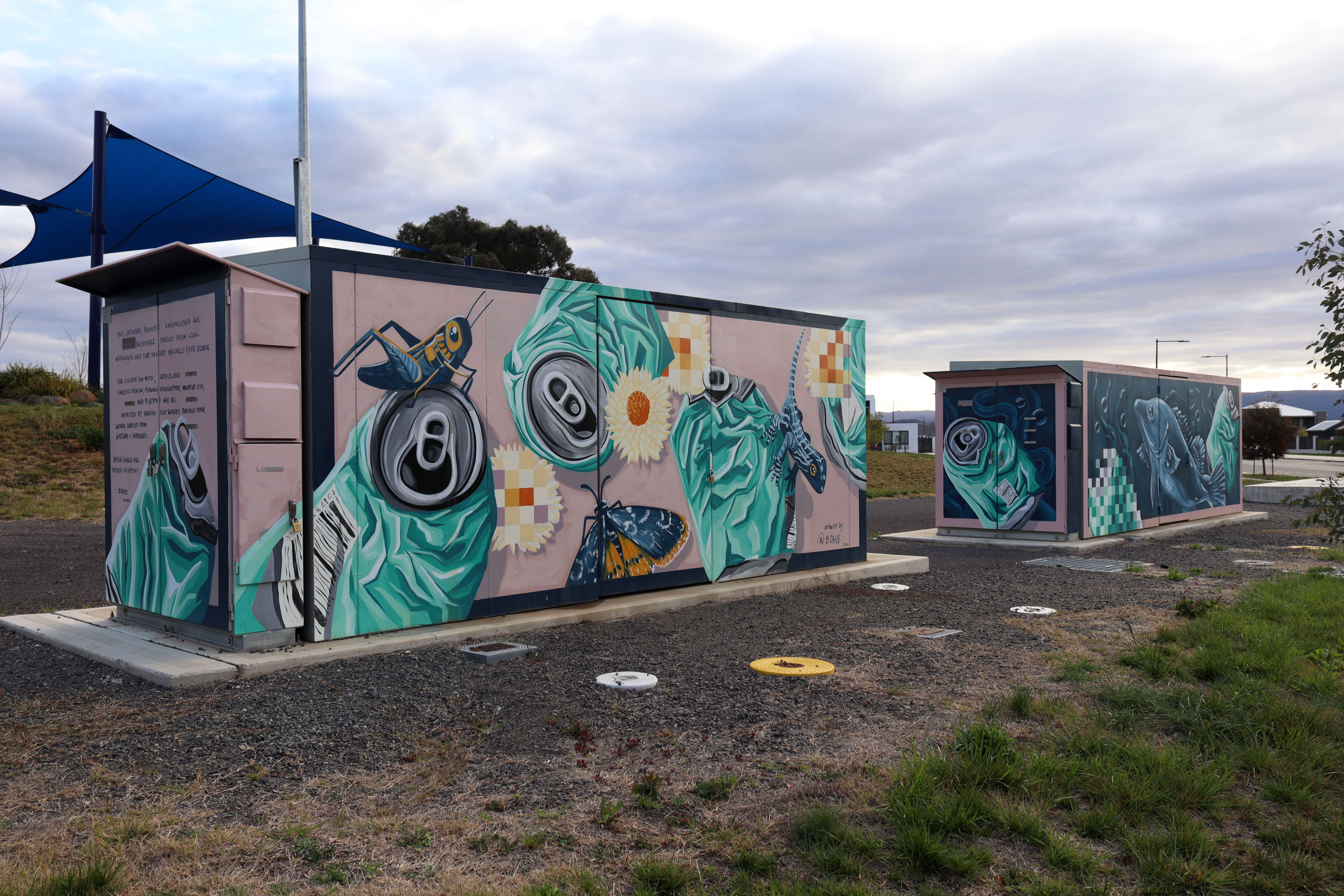 Which Would You Rather Disappear? by Bohie | Street Art NSW