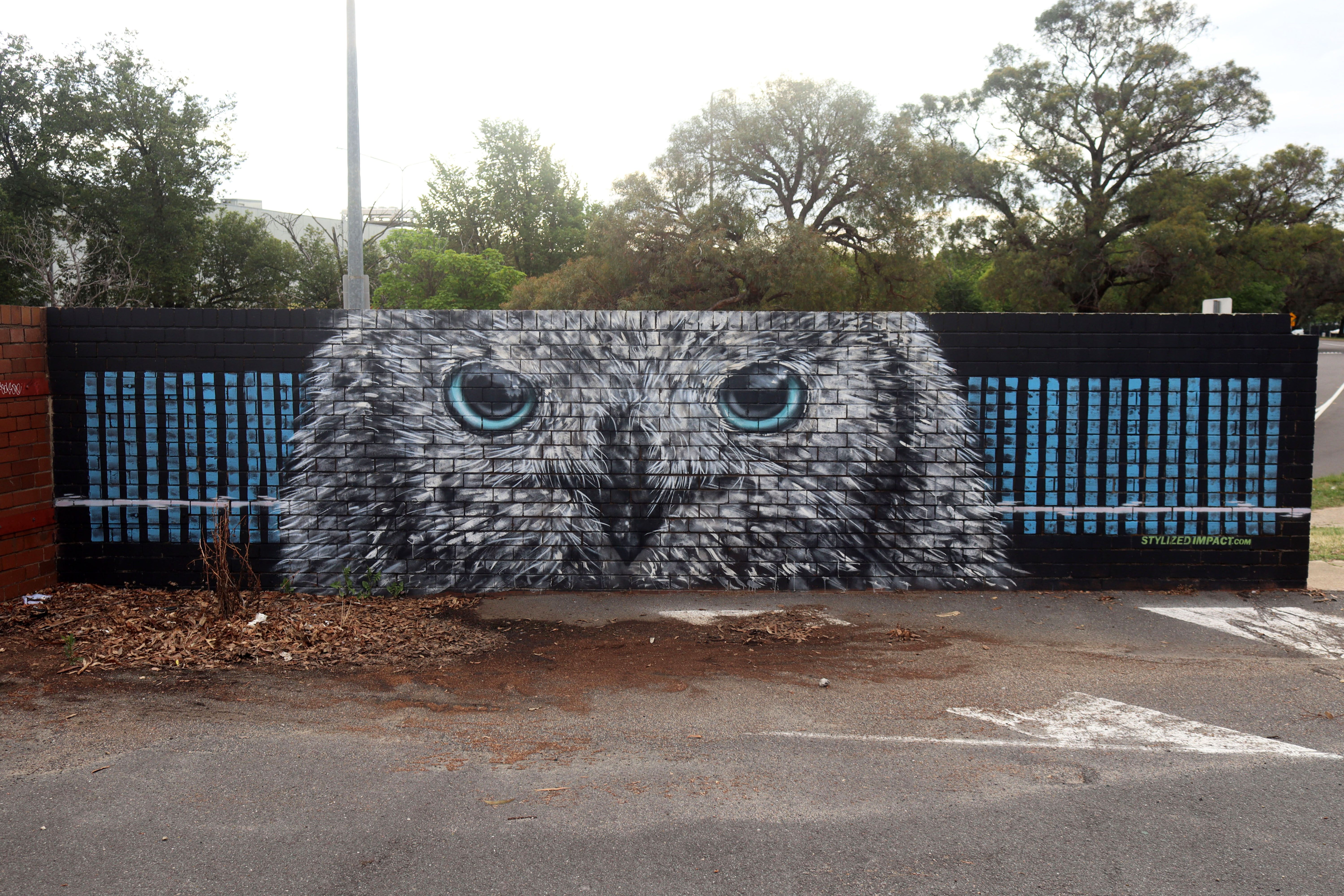 White Owl by Stylized Impact | Street Art NSW