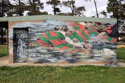 Sports Mural