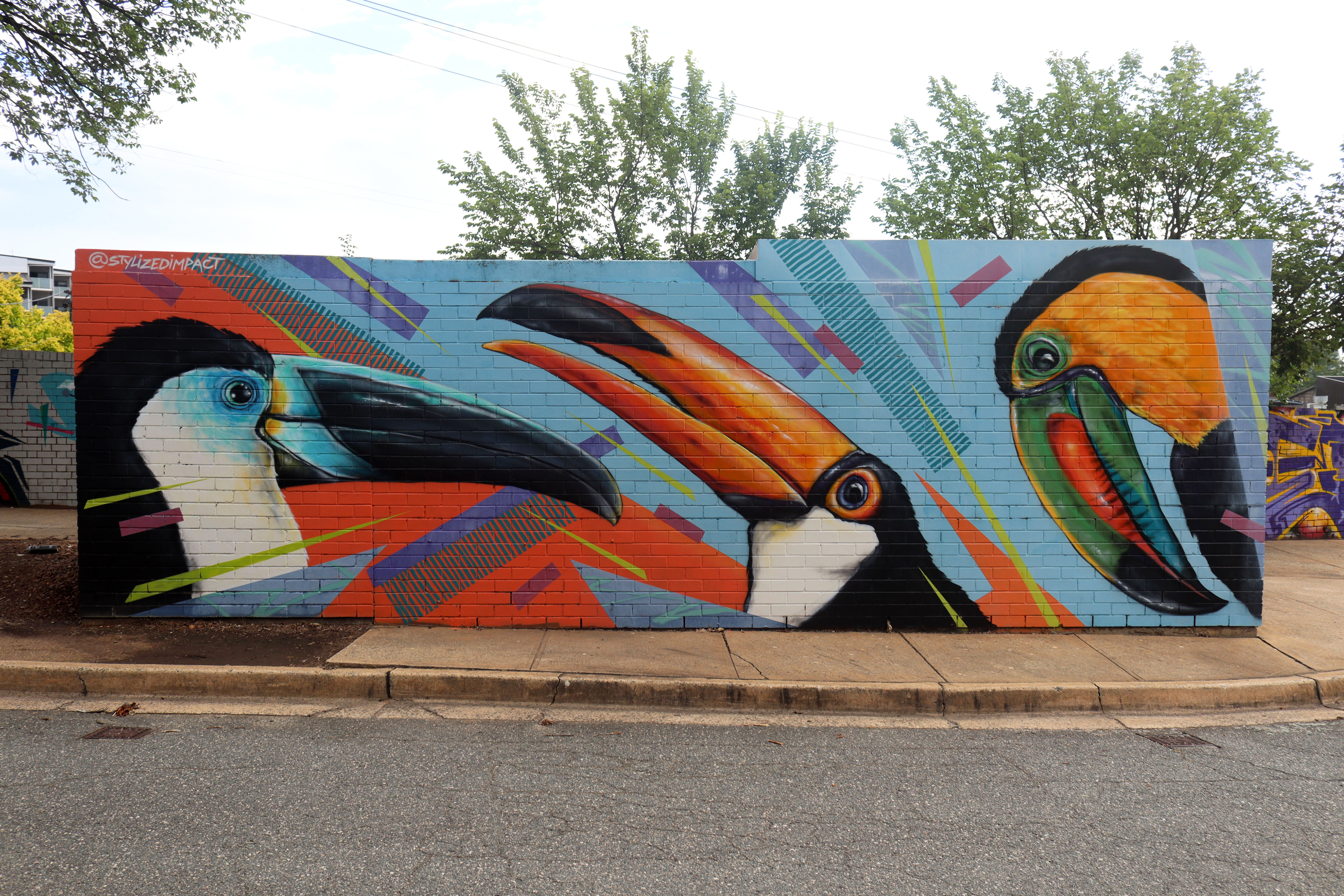 Toucans