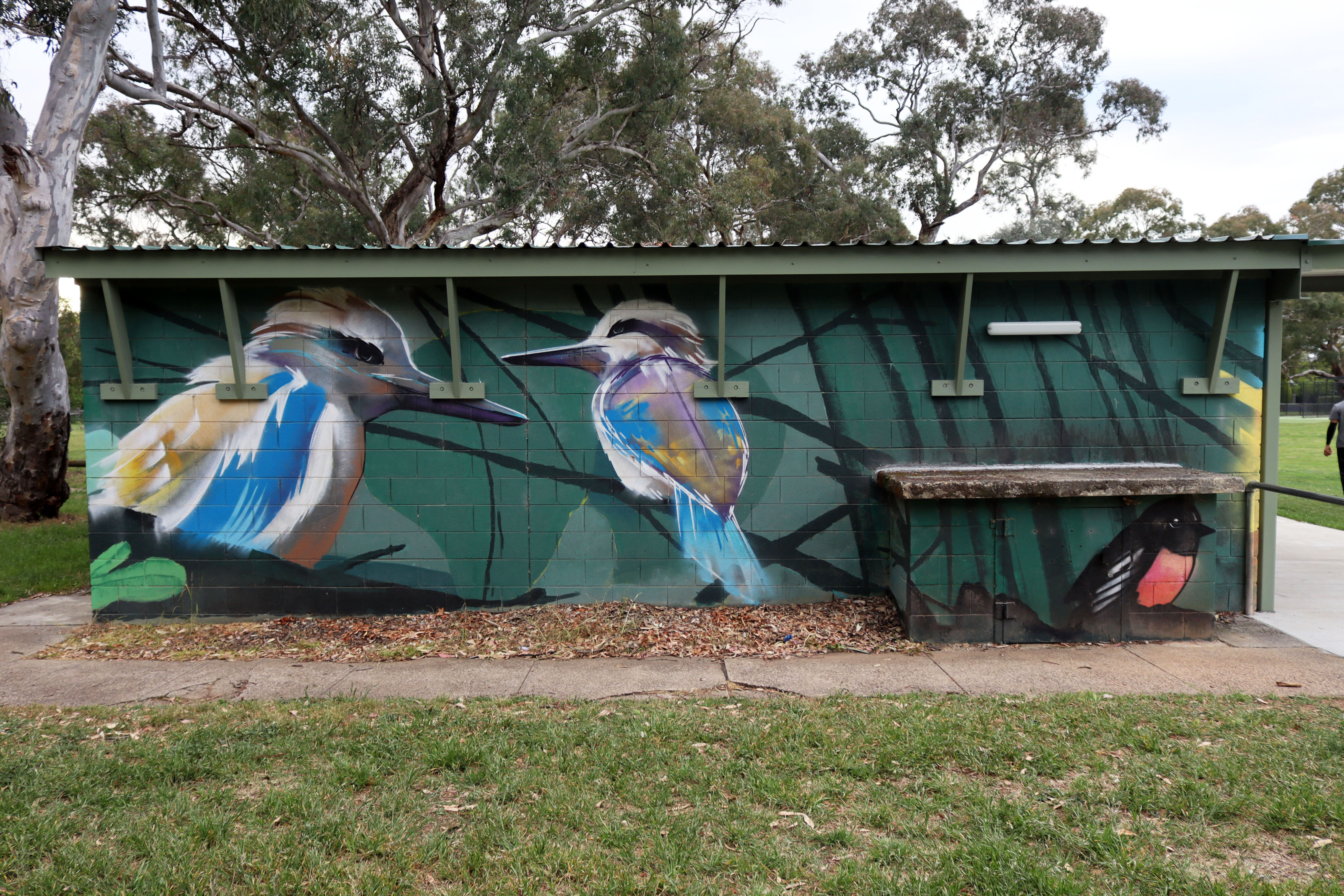Hackett Oval Mural by Blue Gum High School | Street Art NSW