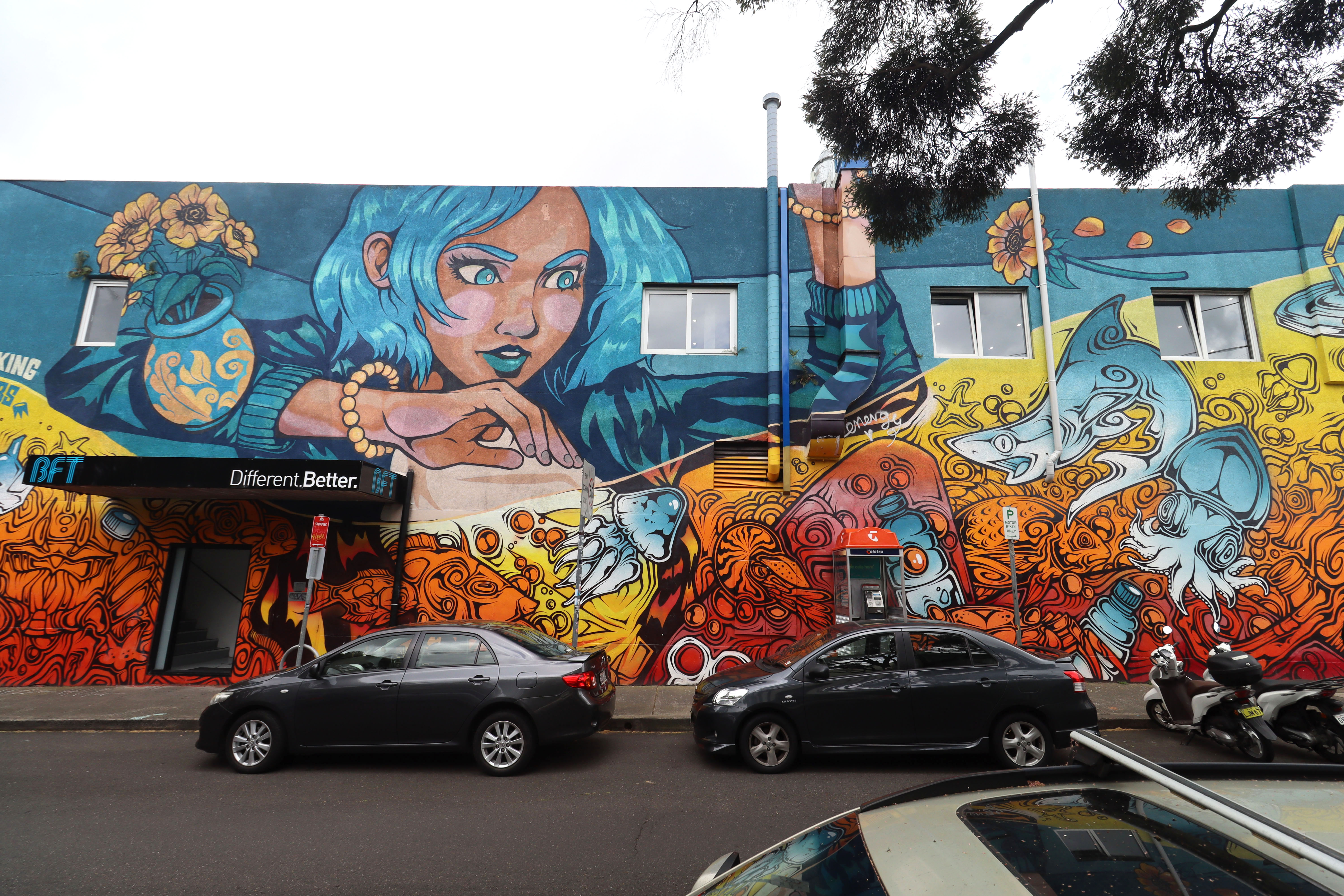 A Rising Tide by Phibs | Street Art NSW