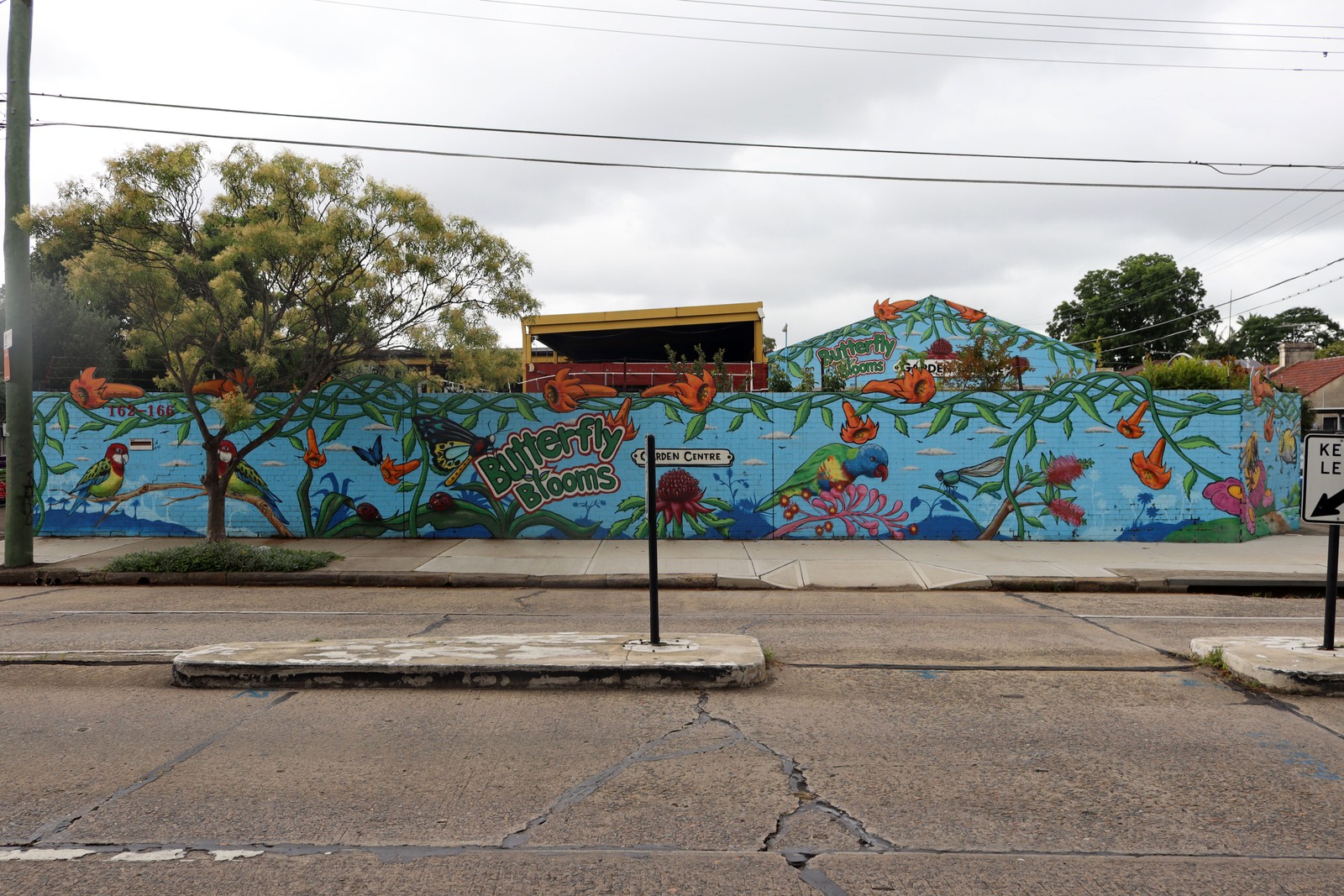 Butterfly Blooms by Adam Conley | Street Art NSW