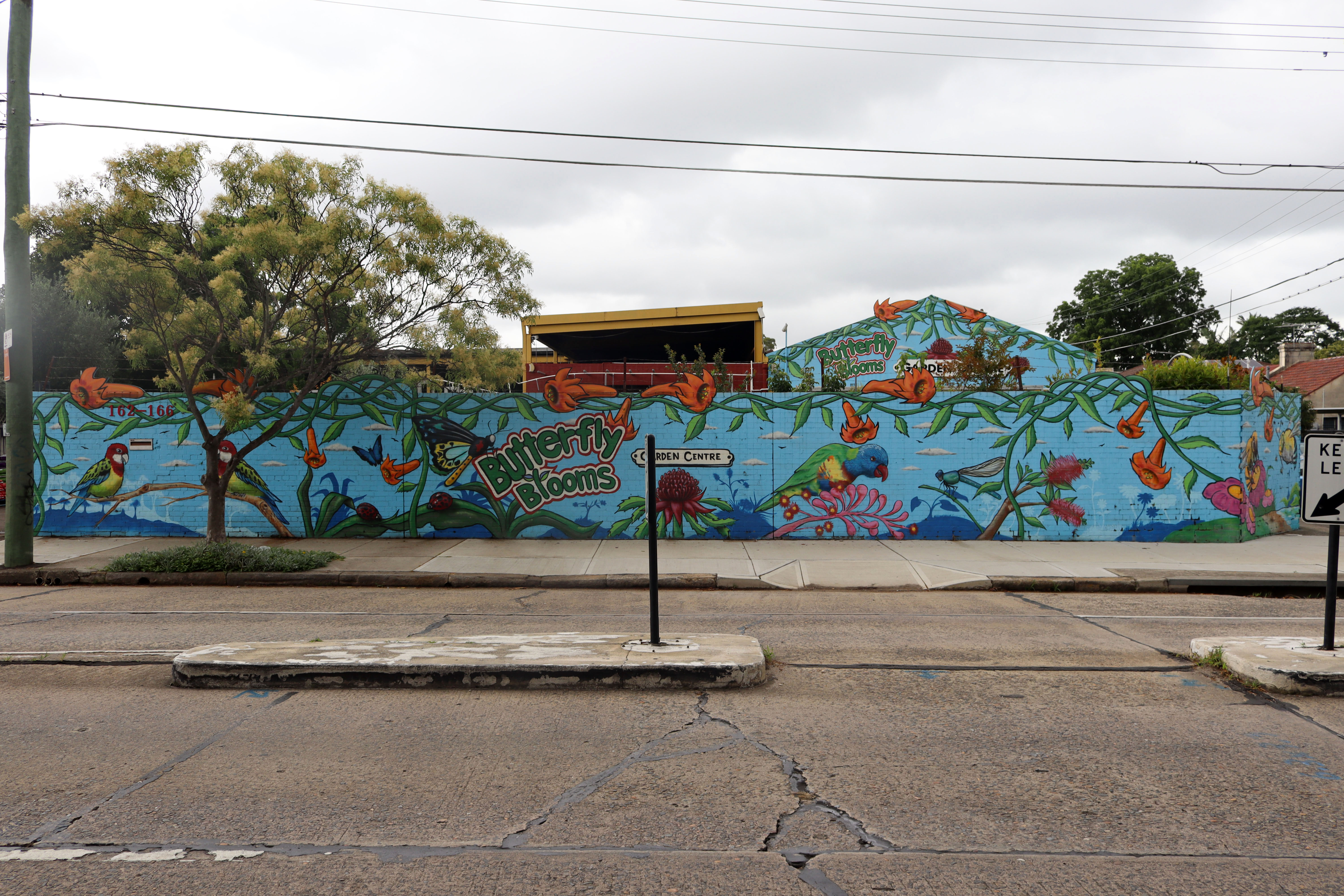 Butterfly Blooms by Adam Conley | Street Art NSW