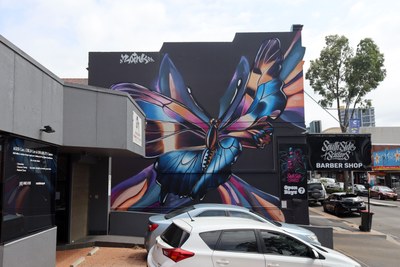 Butterfly