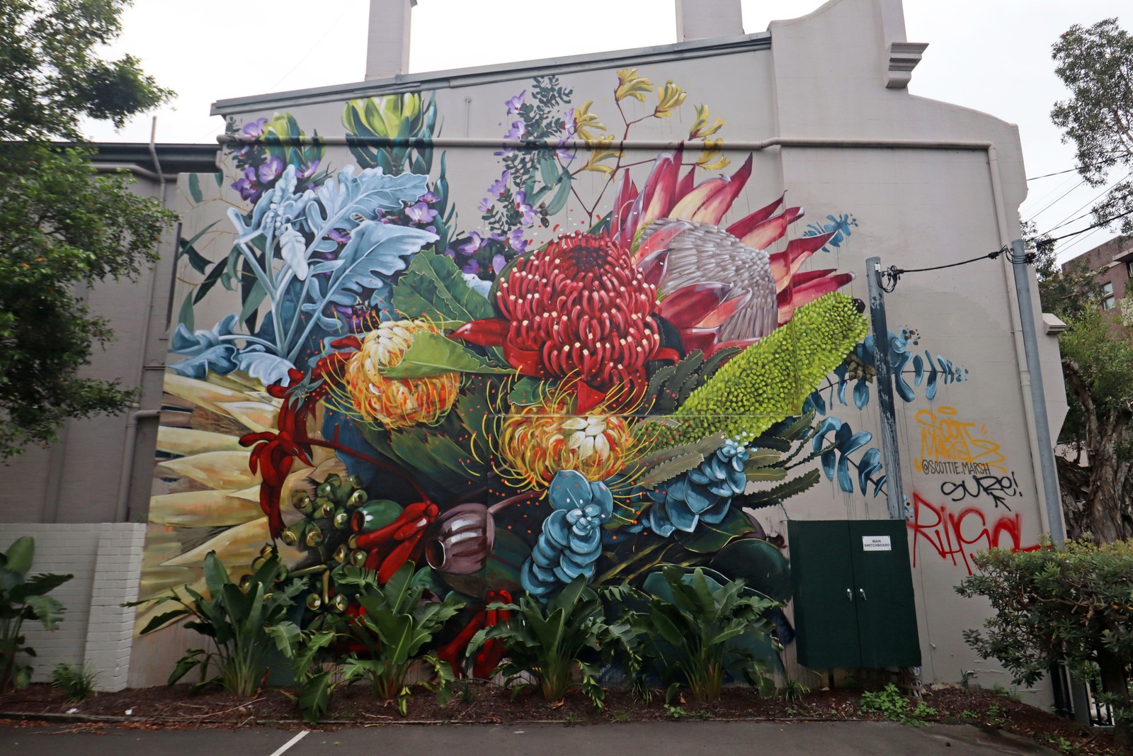 Native Flora Bouquet by Scott Marsh | Street Art NSW