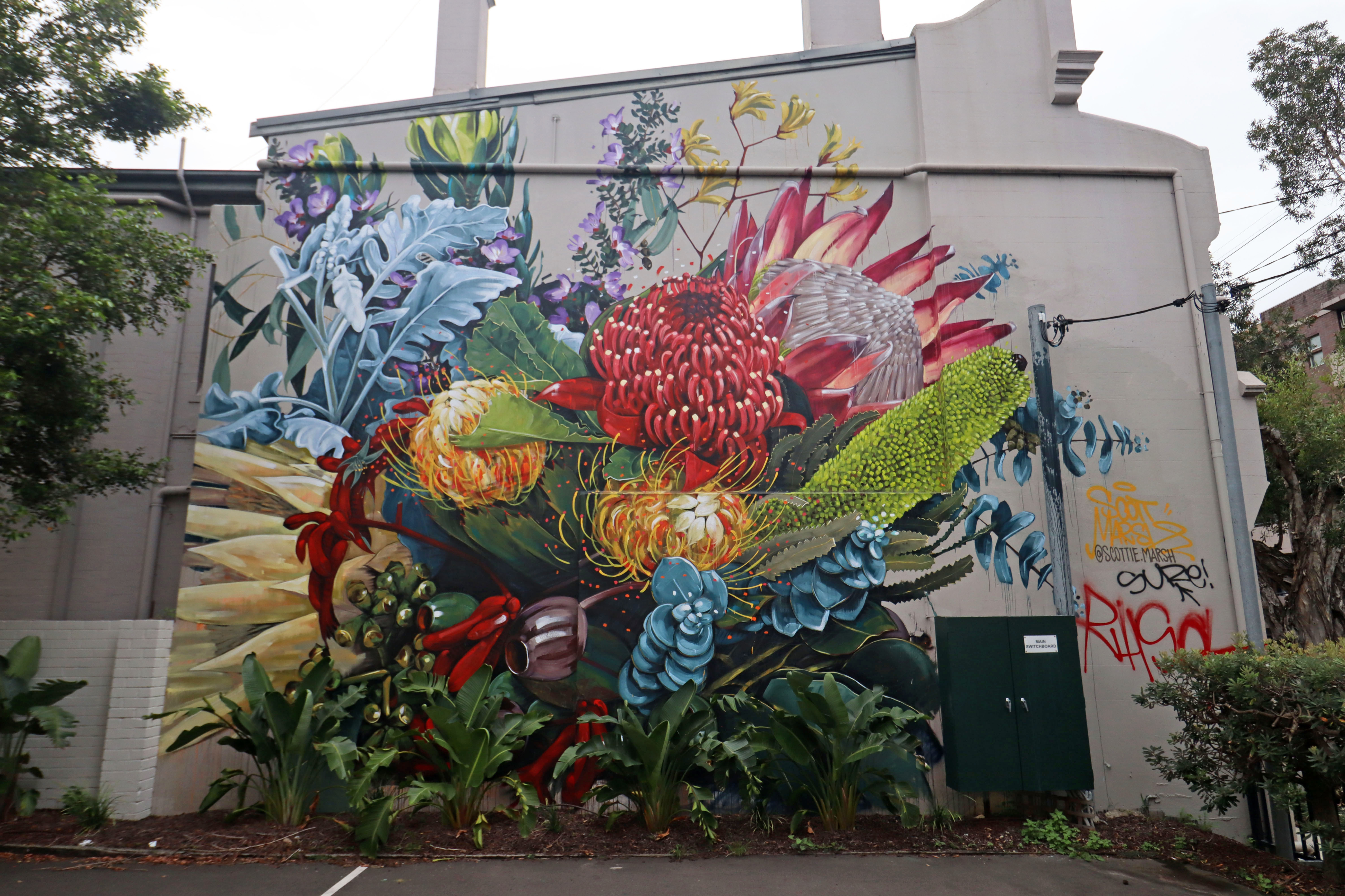 Native Flora Bouquet by Scott Marsh | Street Art NSW