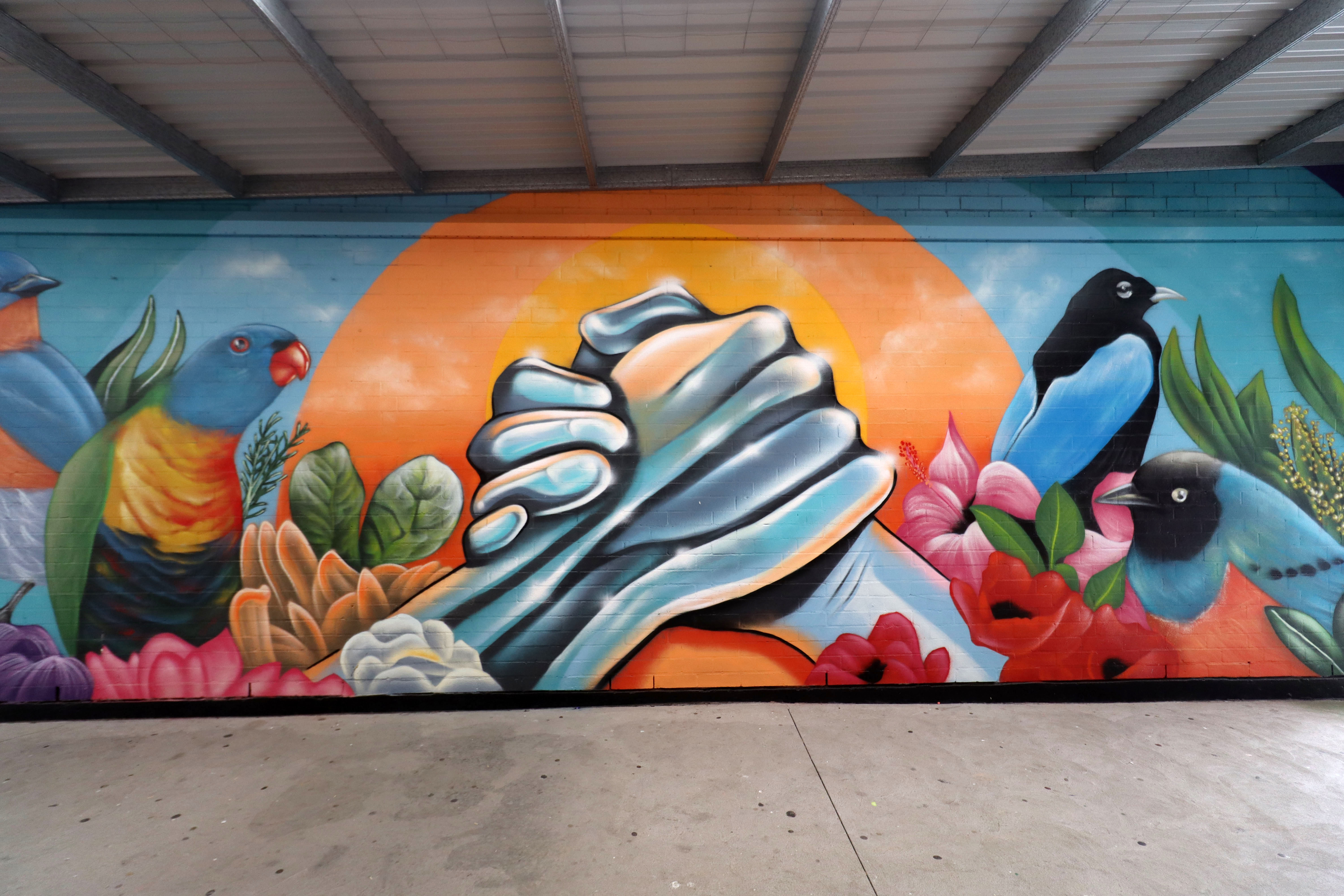 Untitled by Shannon Boyd | Street Art NSW