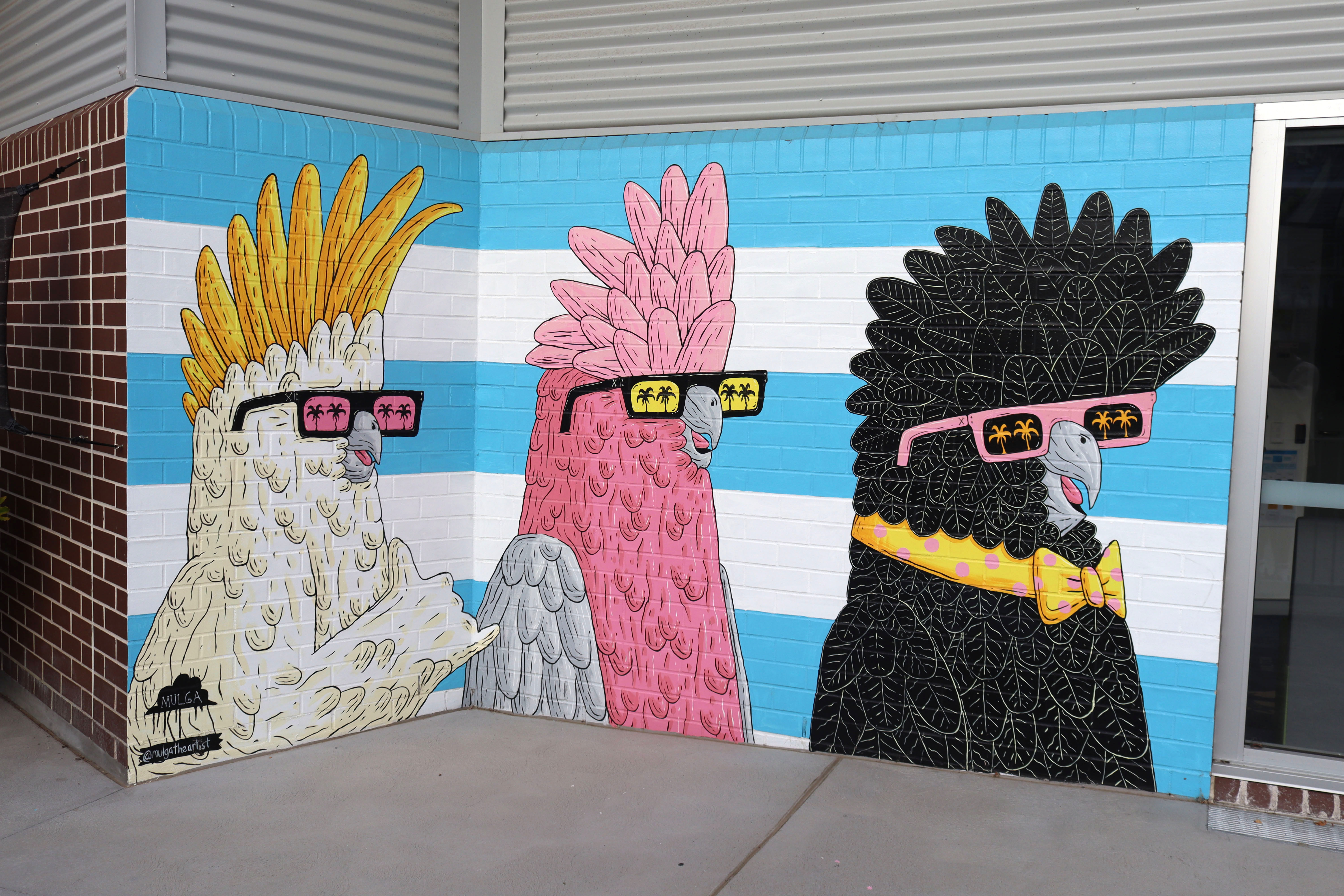 Three Rad Australian Birds