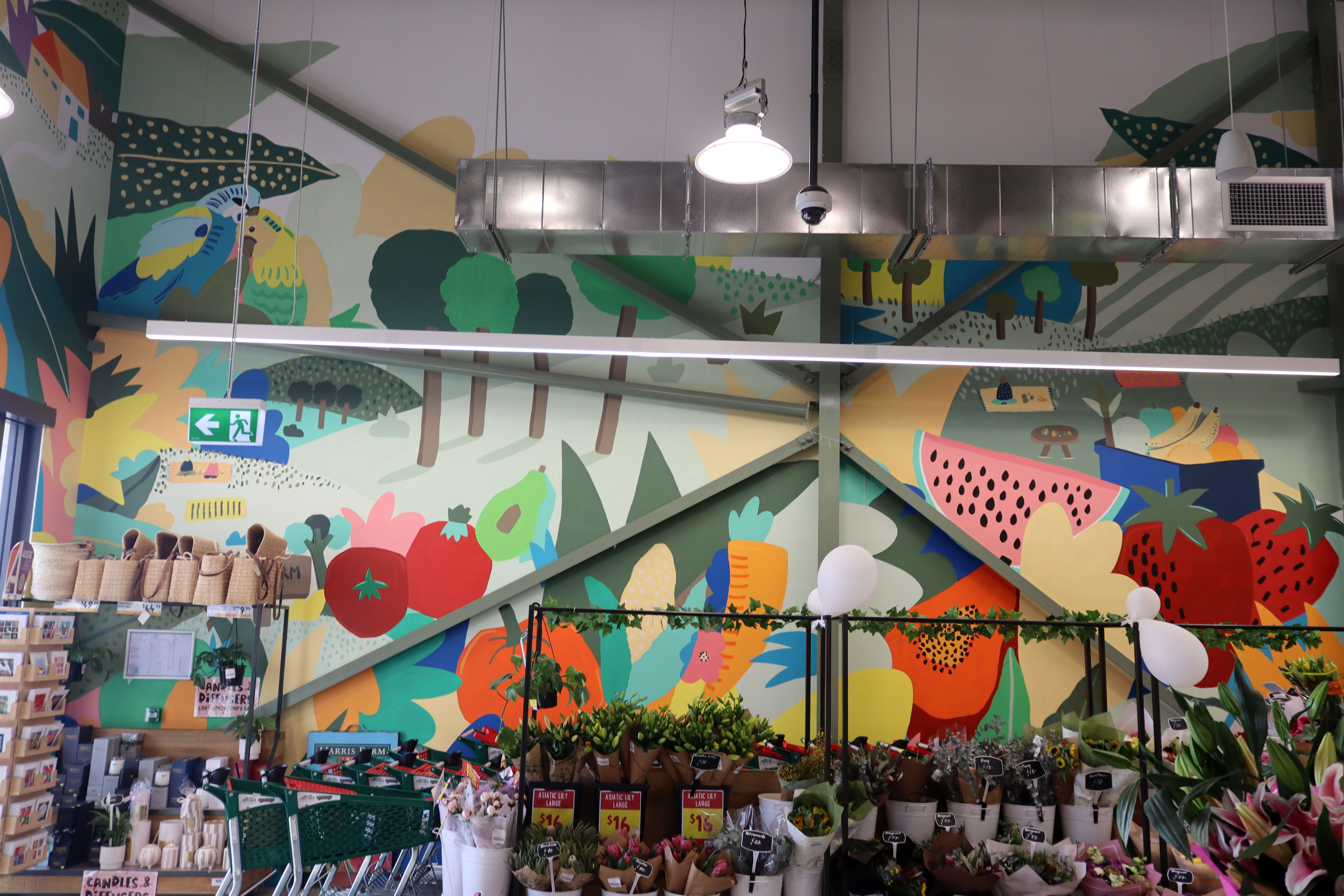 Harris Farm Markets Dural by Bruno Mota | Street Art NSW