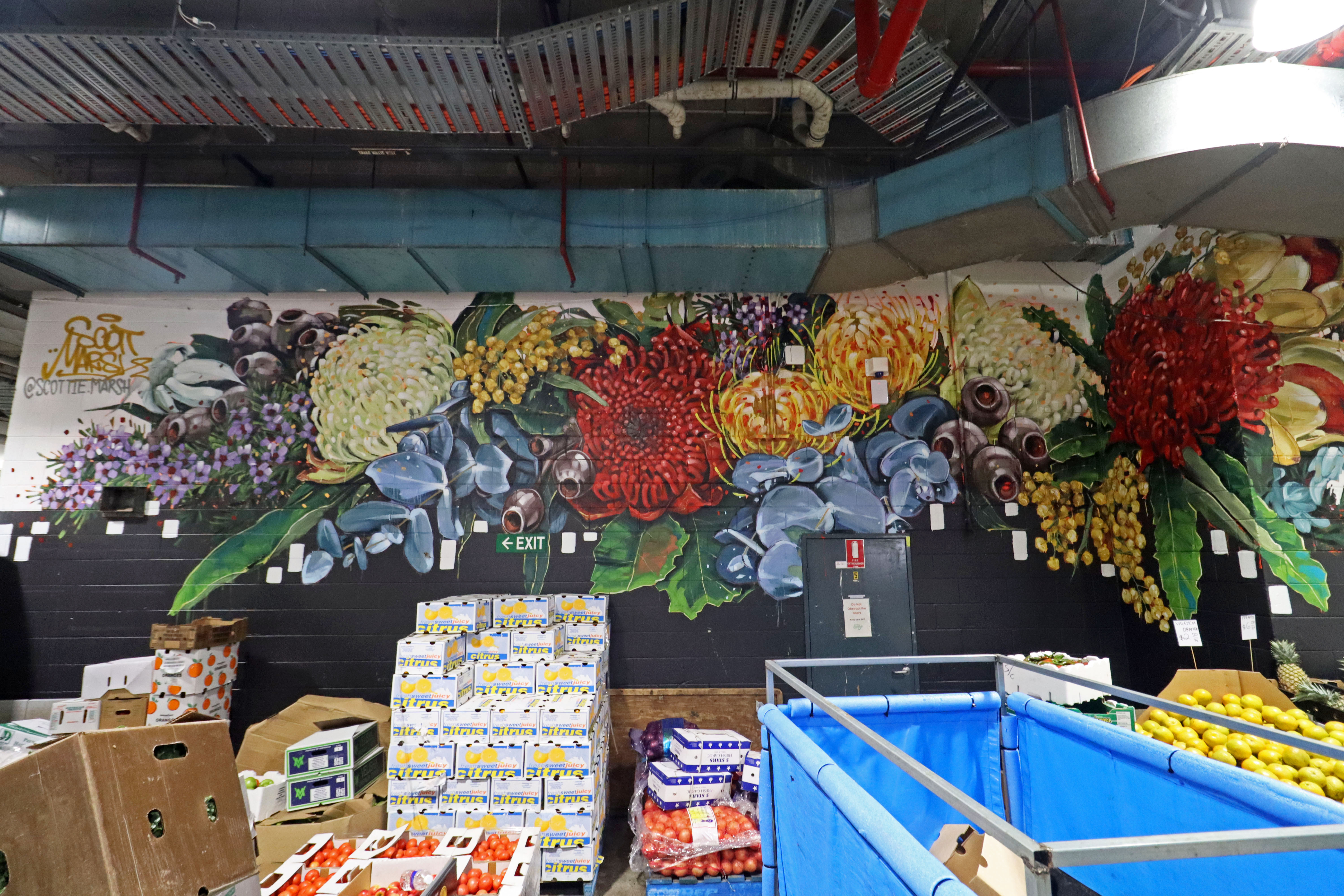 Monster Floral Mural by Scott Marsh | Street Art NSW