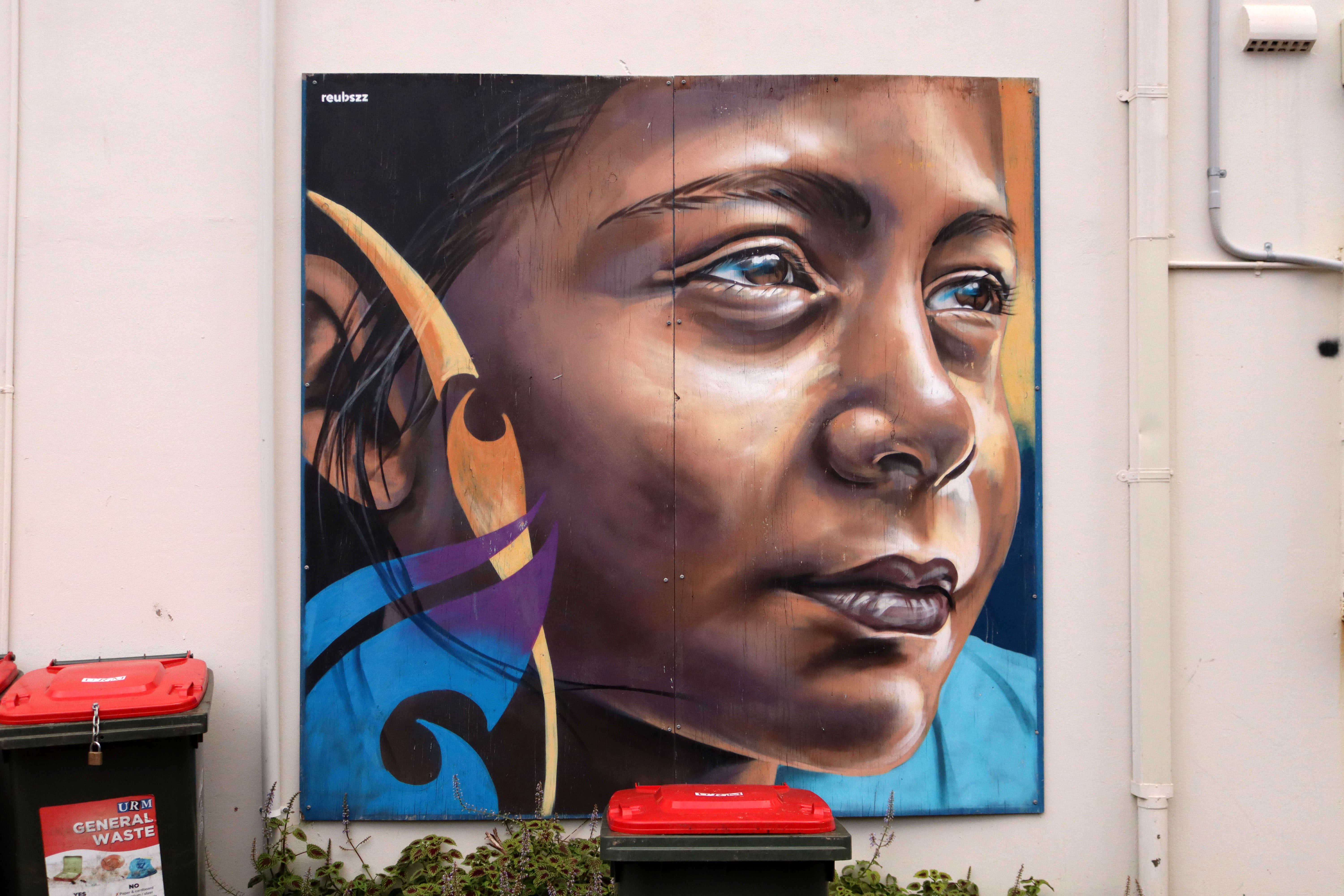 Rosa by Reubszz | Street Art NSW