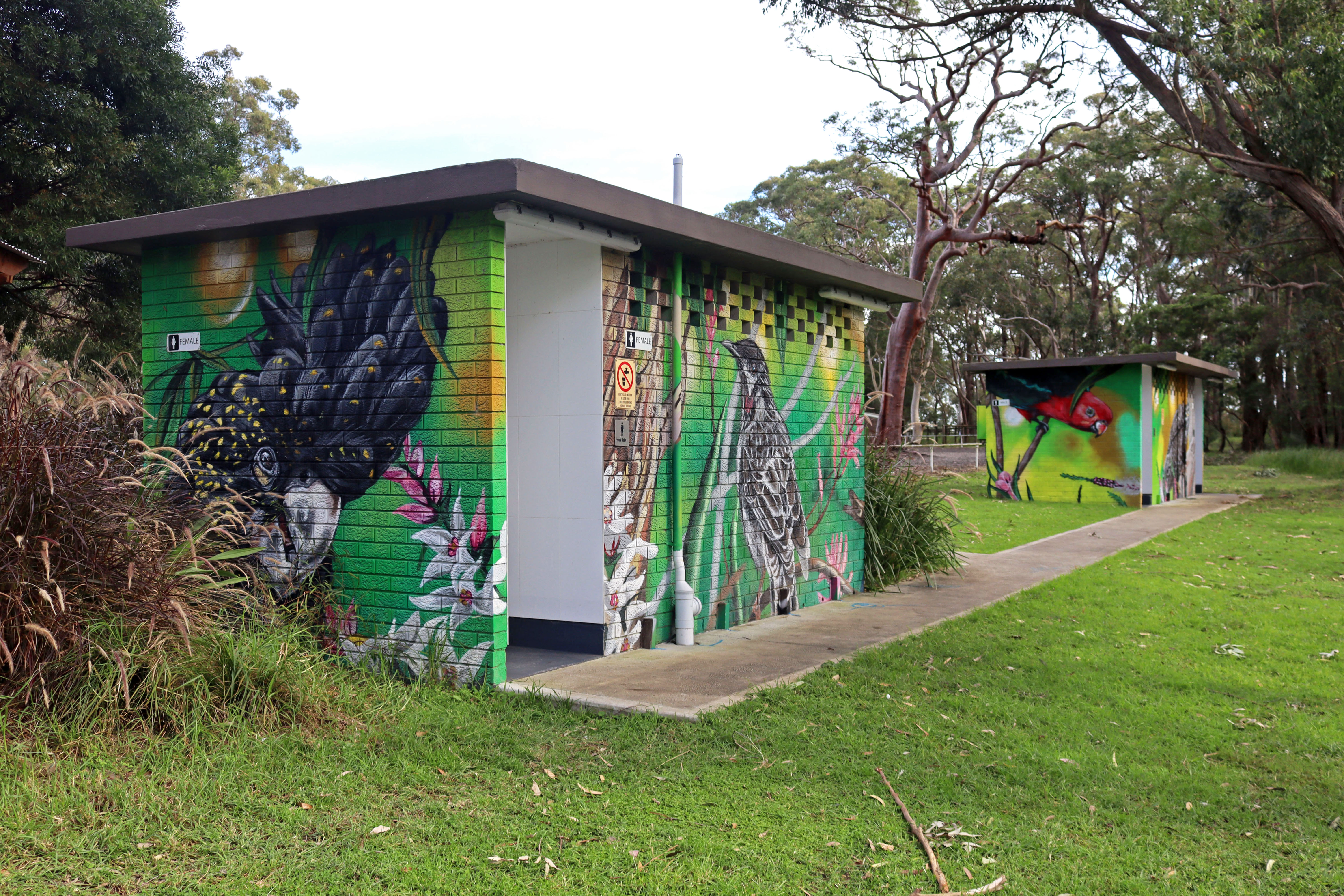 St Ives Showground Mural Artwork by Reubszz | Street Art NSW