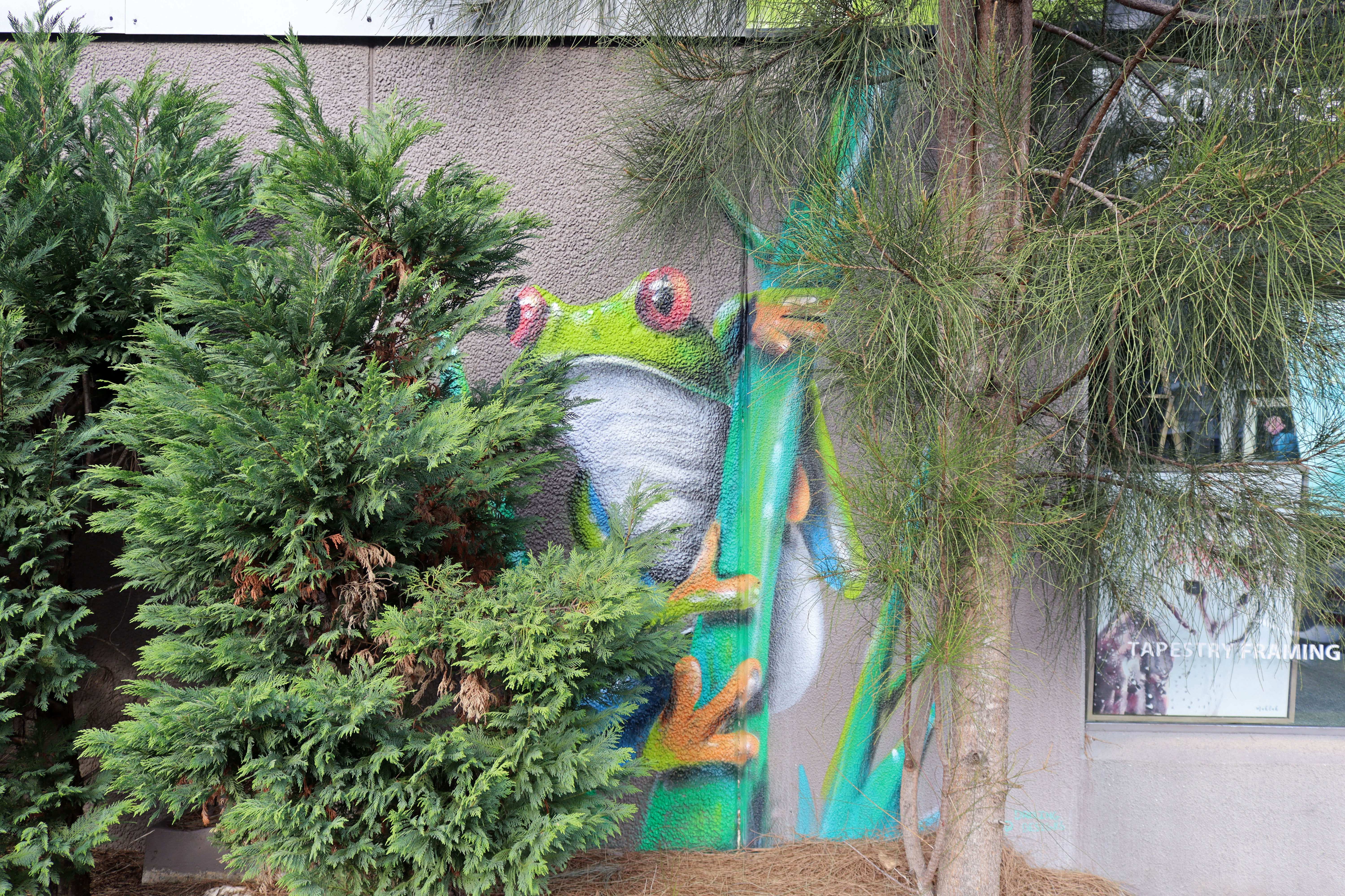 Covert Froggo