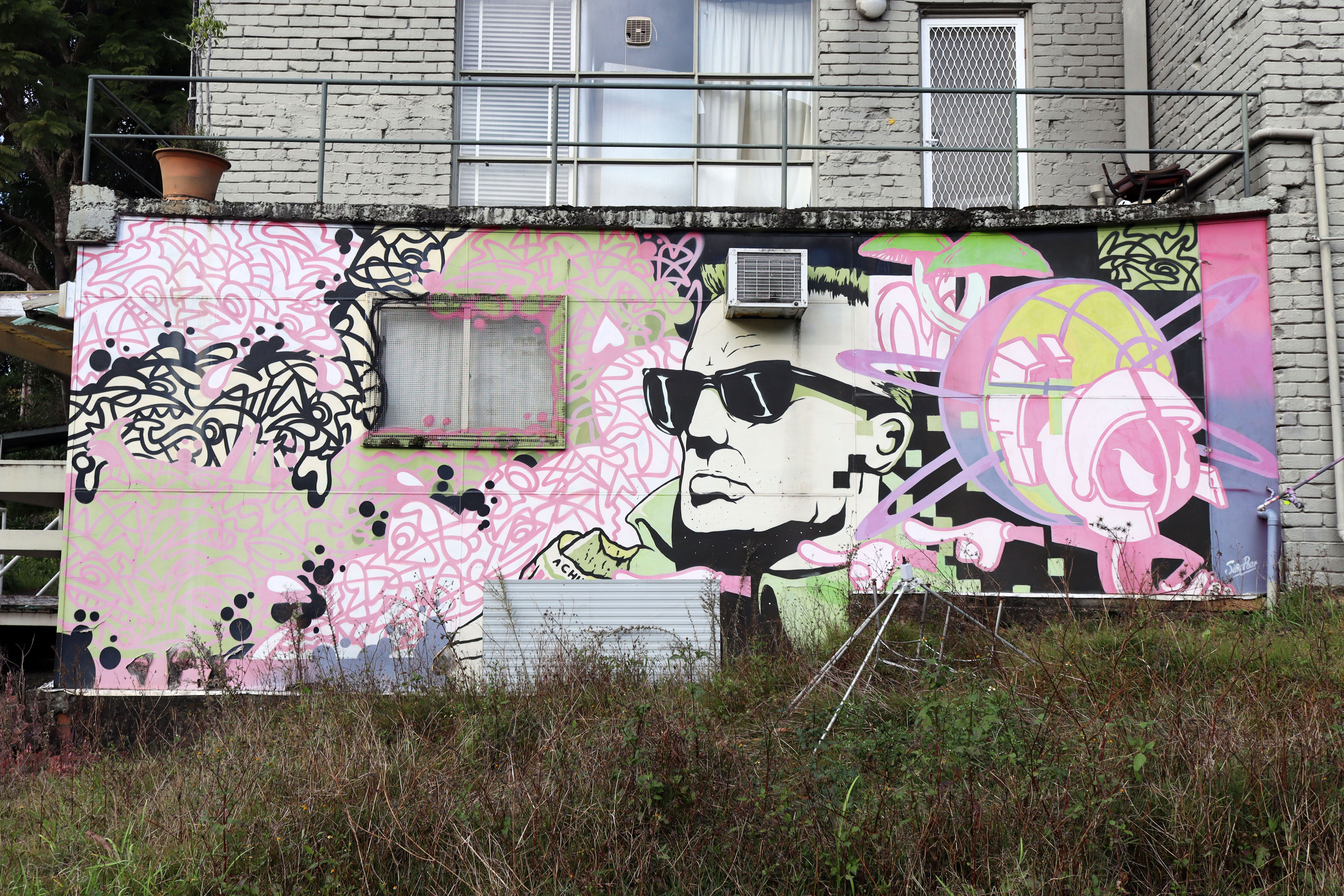Untitled by Silly Pear | Street Art NSW